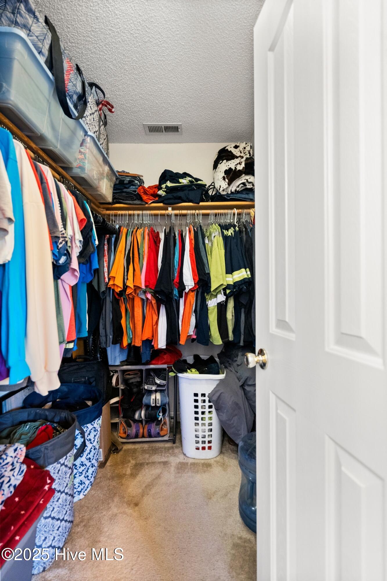 100515616 | Photo 29