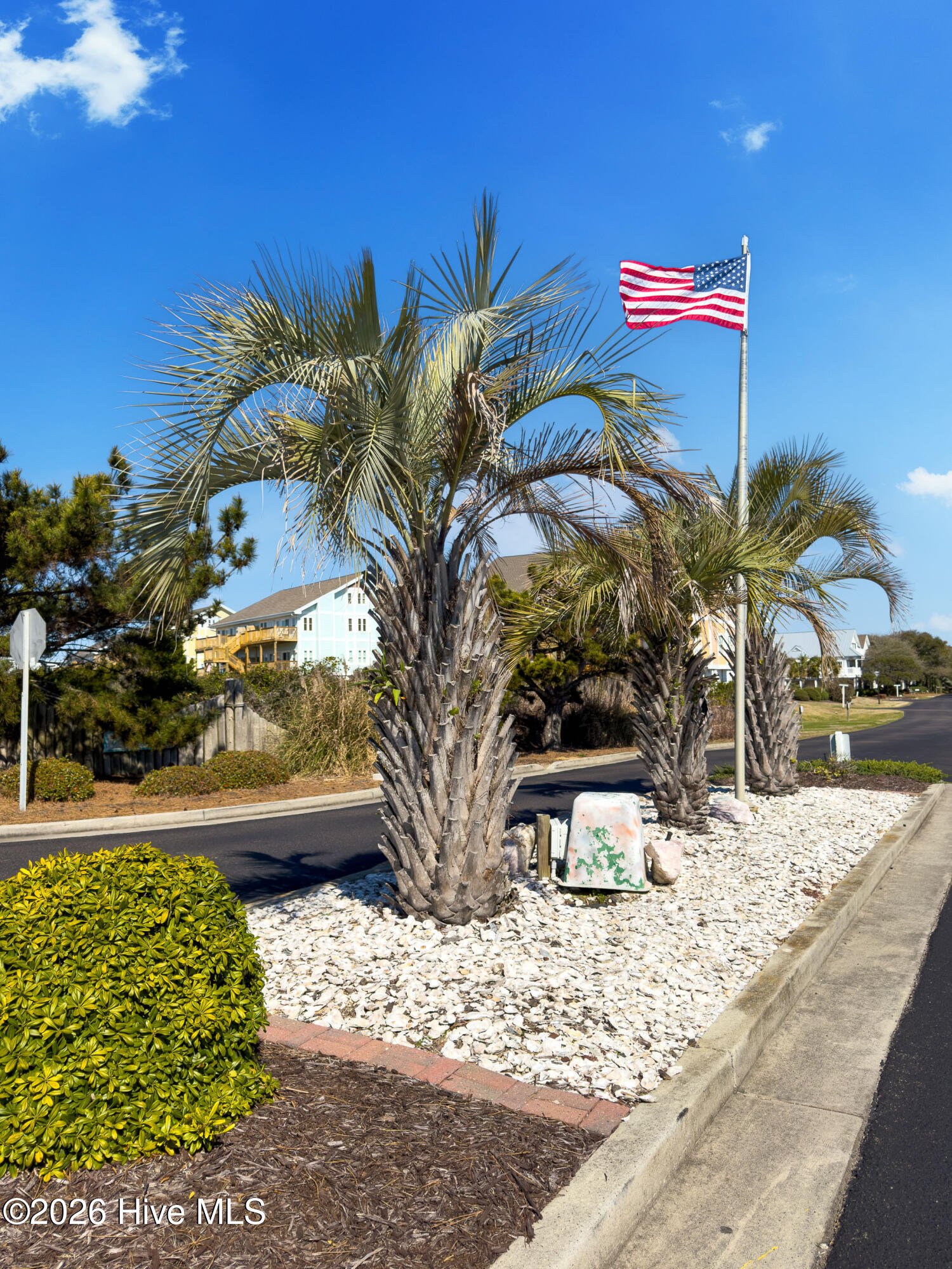 100561643 | Photo 61