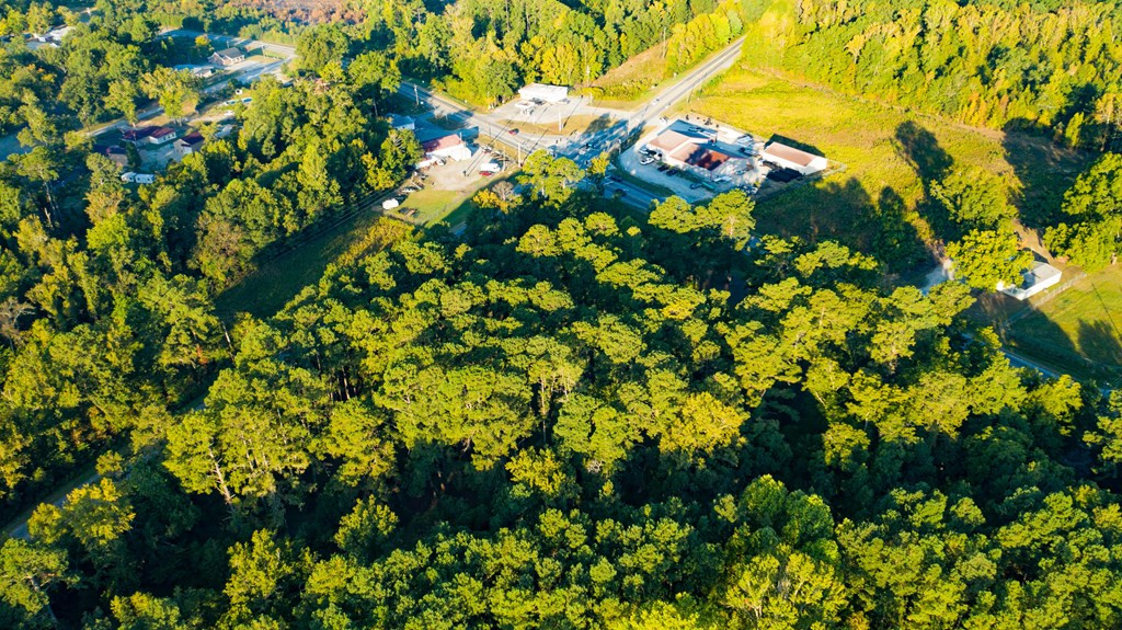 696 Cobbham Road, Thomson, GA, 30824