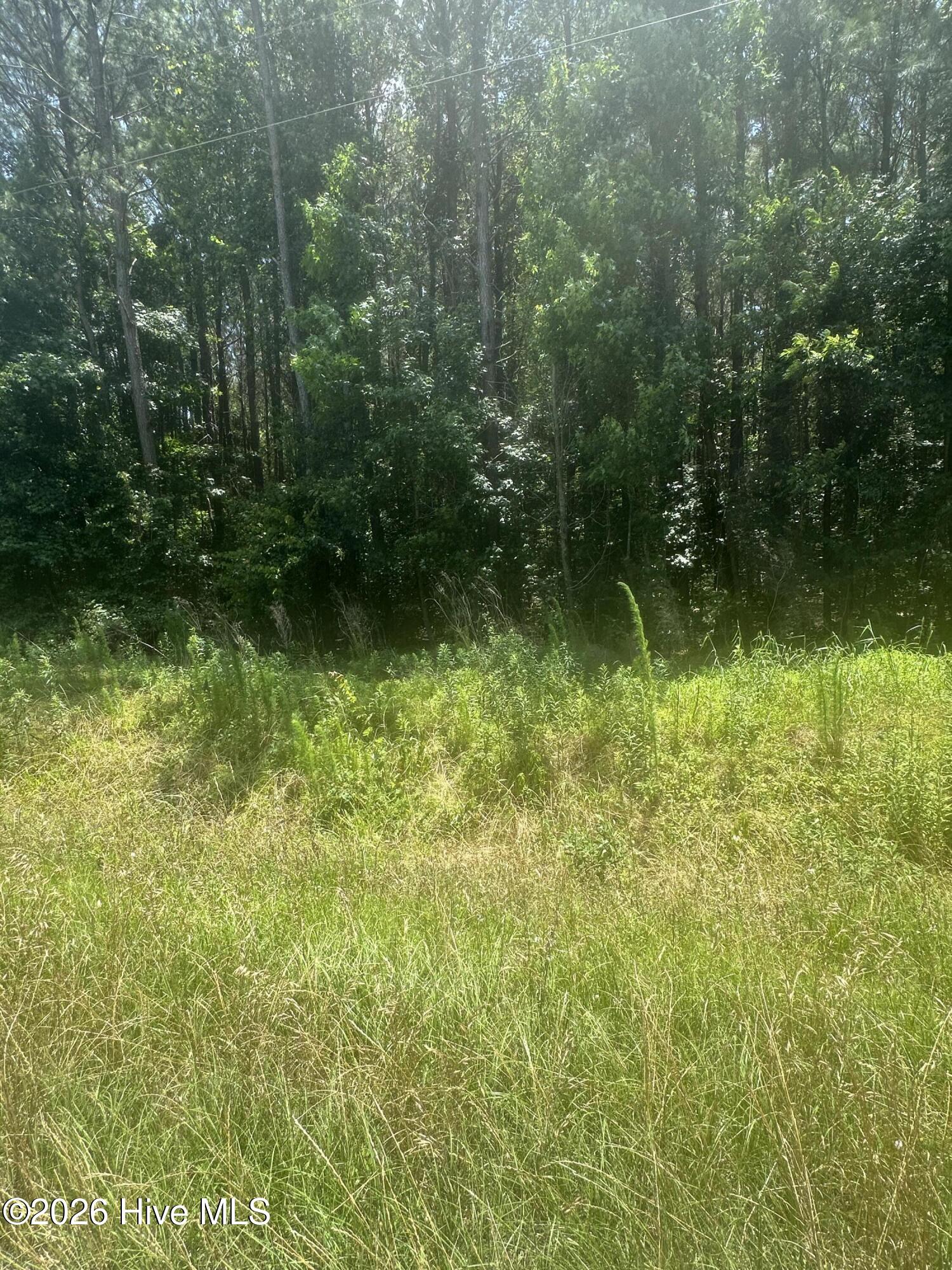 Exterior photo of Near 721 Near 721 Joe Piver R Road, Chadbourn, NC 28431. MLS: 100598129