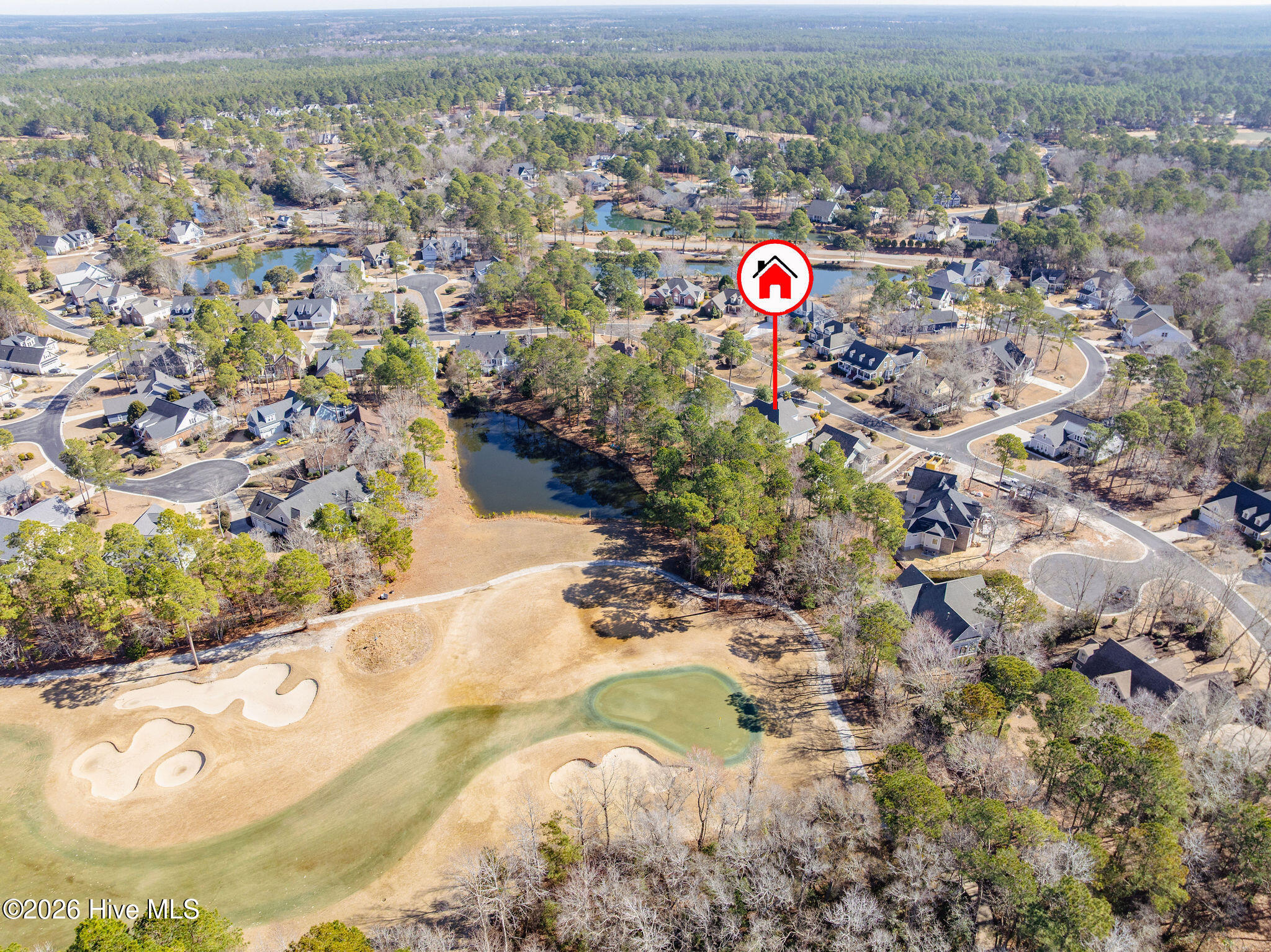 100557018 | Photo 61