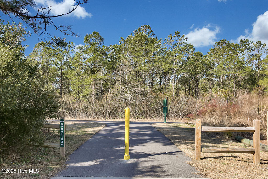 100538863 | Photo 44