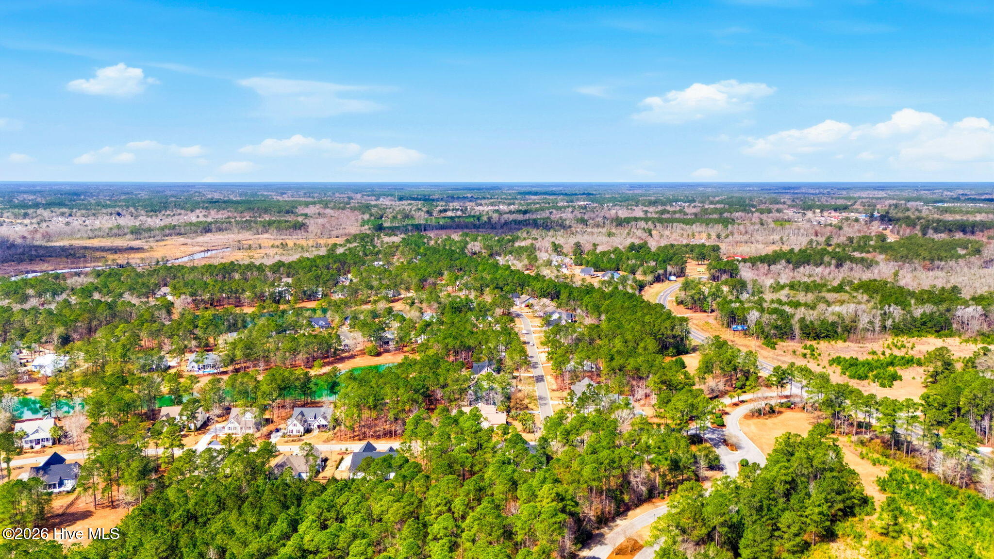 100558607 | Photo 51