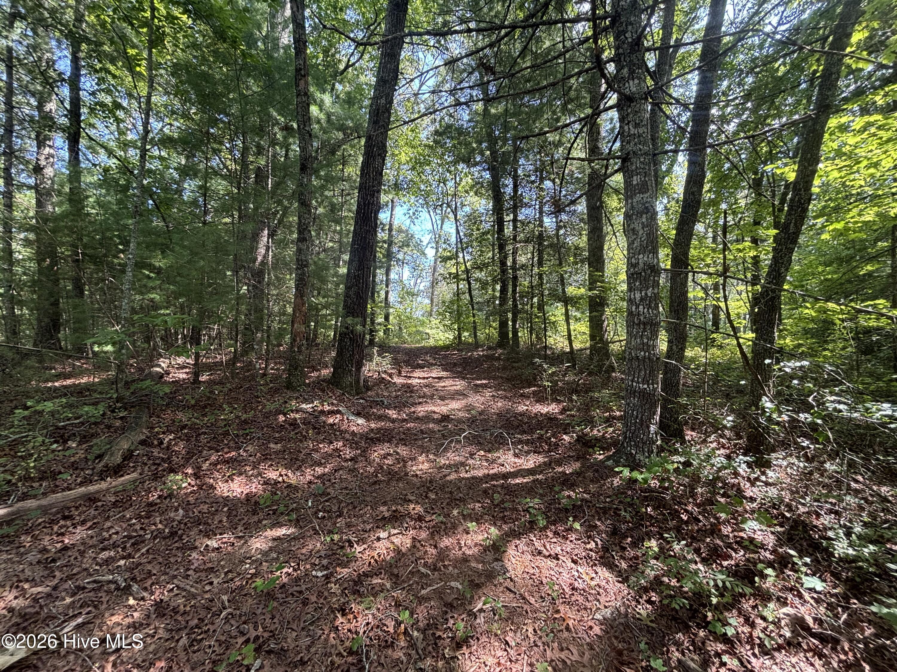 Exterior photo of 4 Majestic Mountain Trail, Murphy, NC 28906. MLS: 100597406