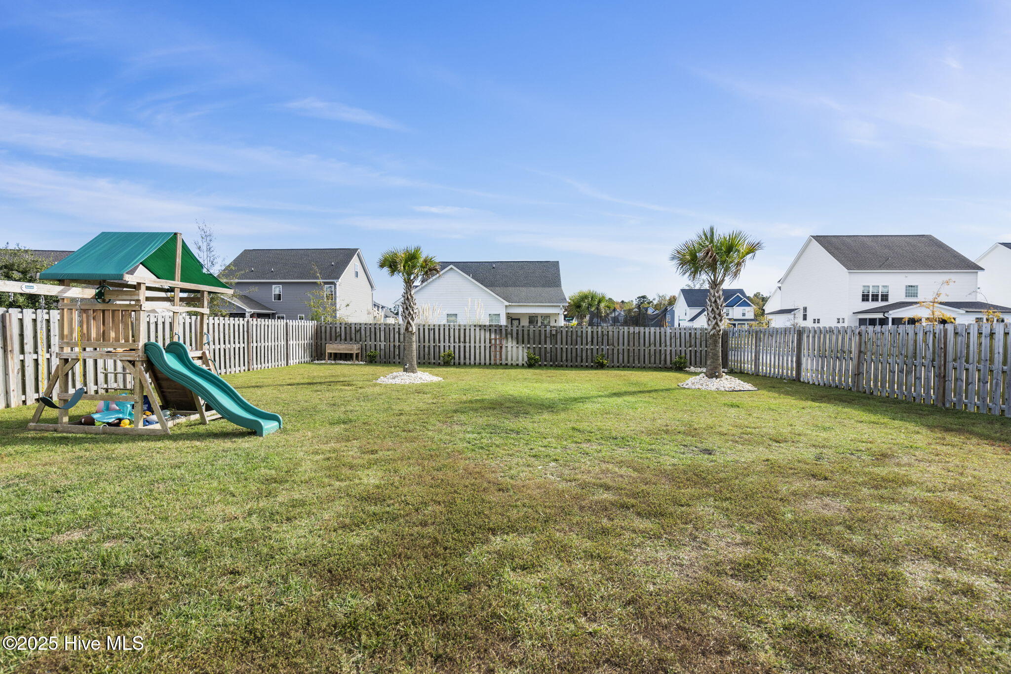 100538351 | Photo 64