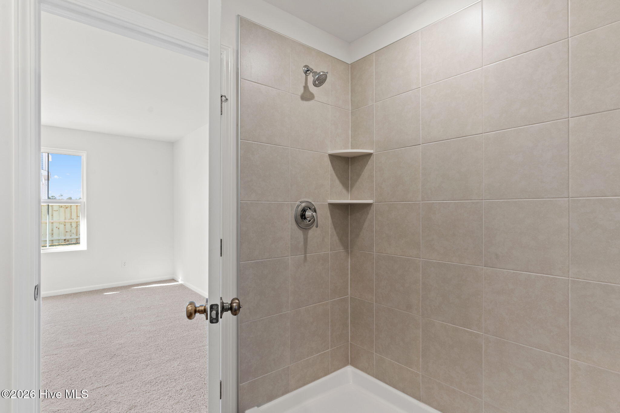 100555271 | Photo 11