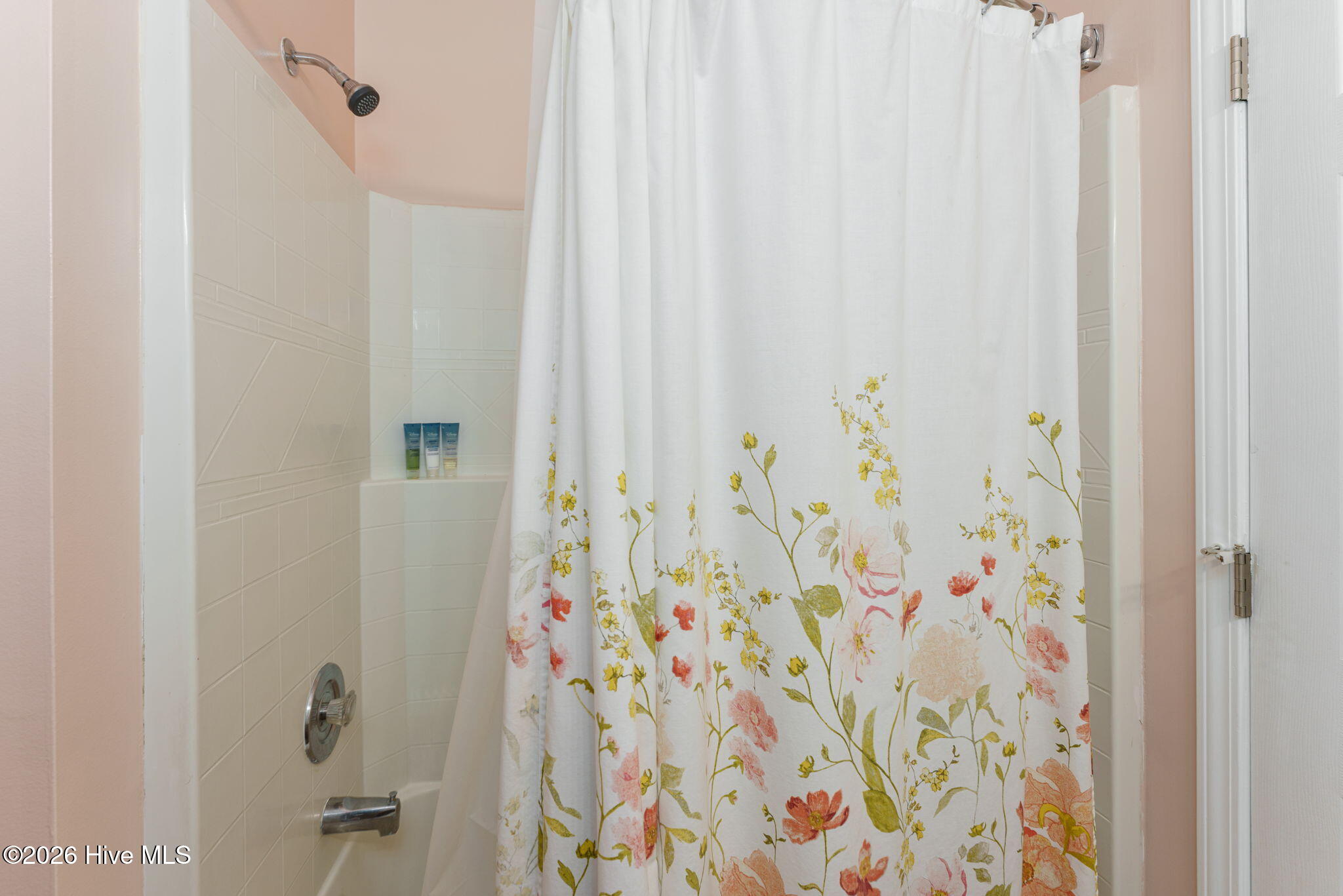 100563098 | Photo 25