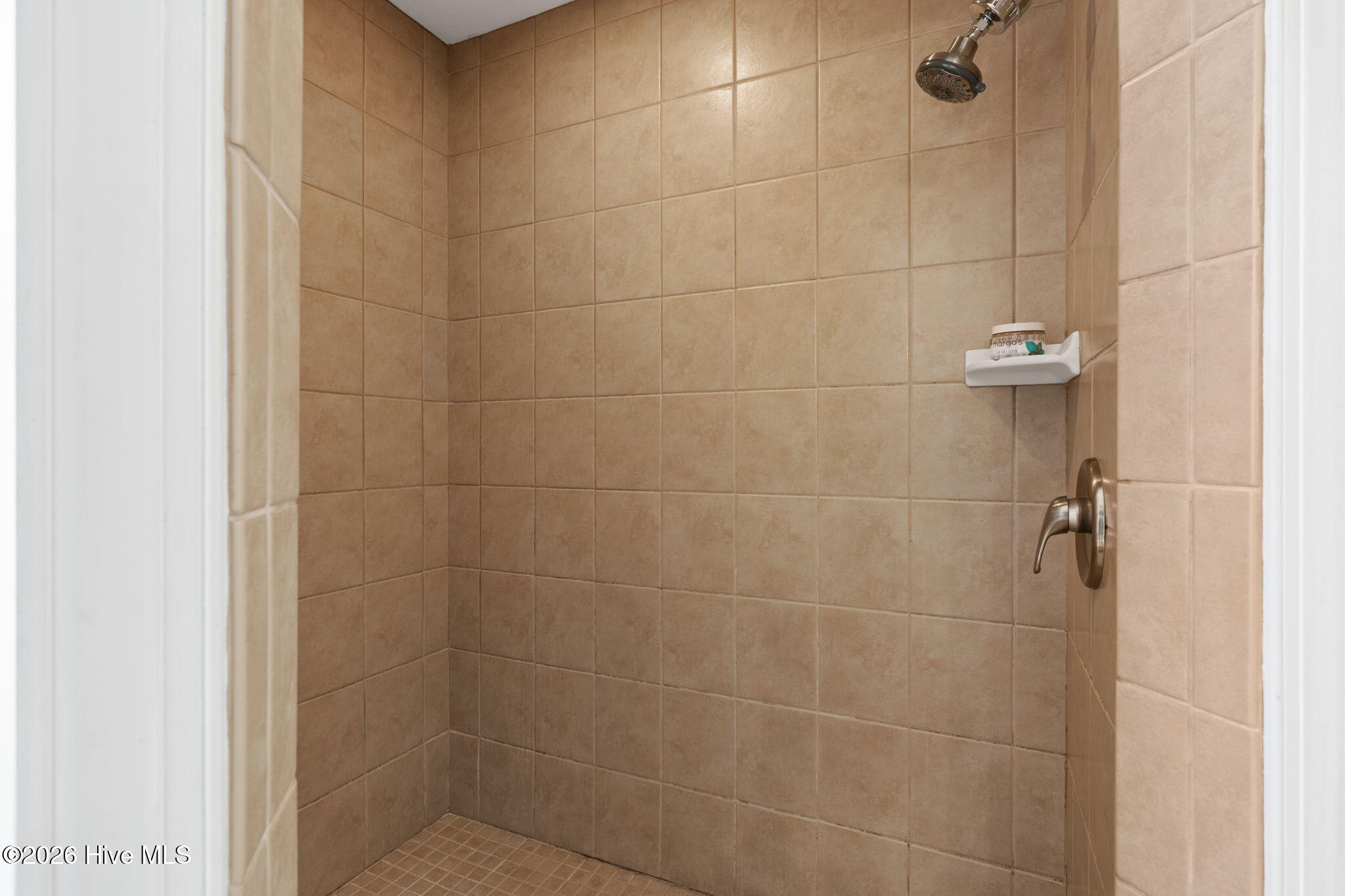 100567853 | Photo 25