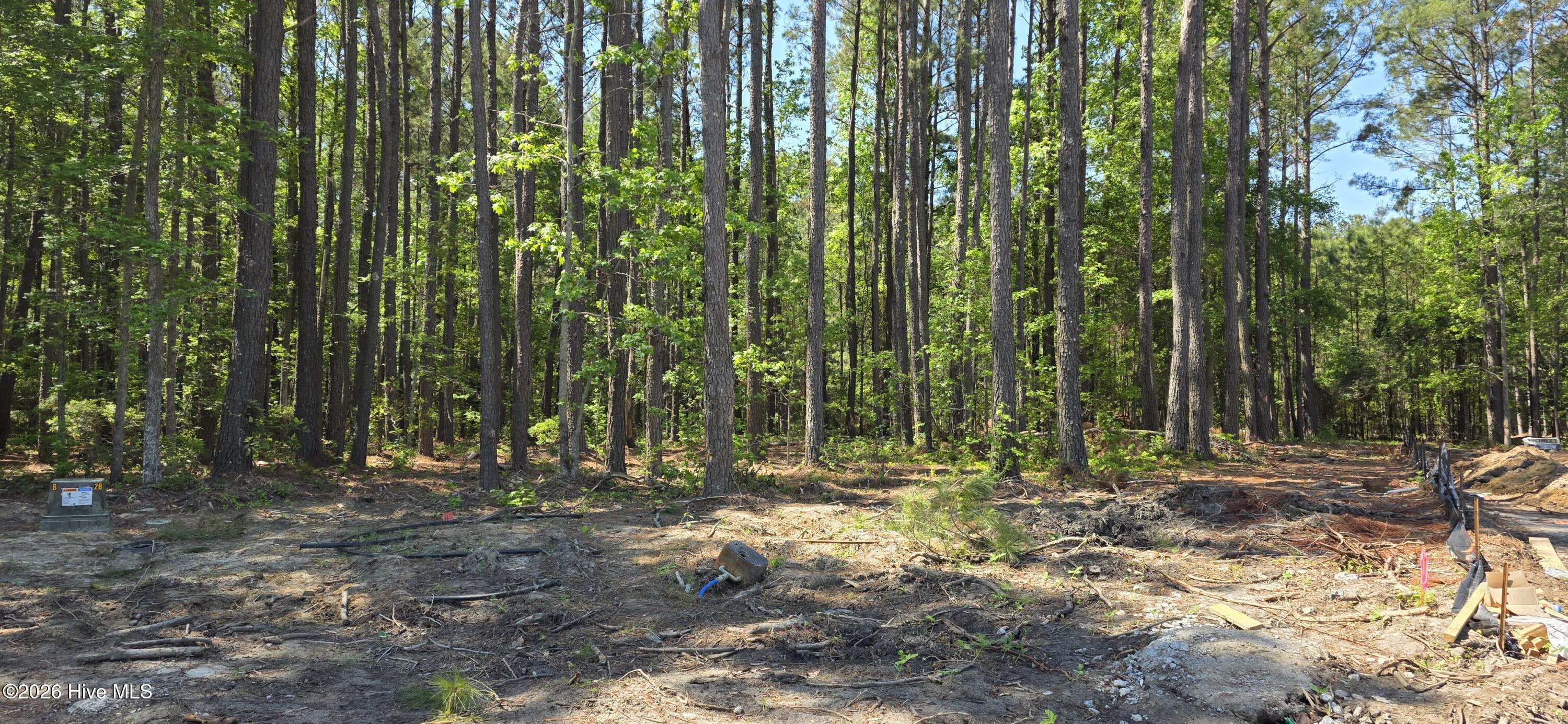 100583974 | Photo 2