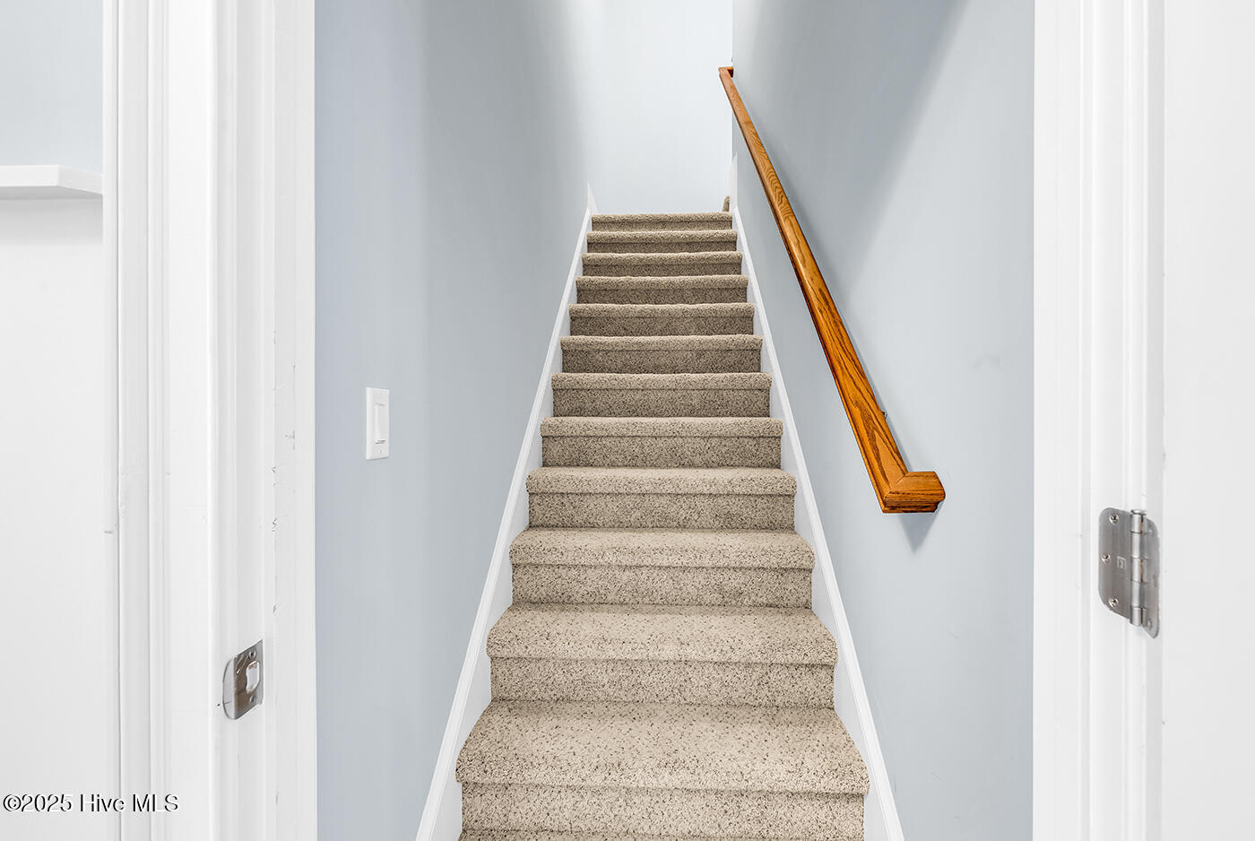 100529992 | Photo 32