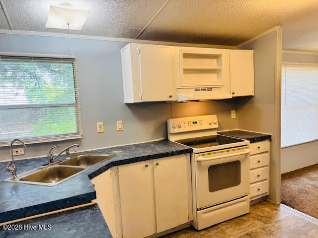 100547185 | Photo 10