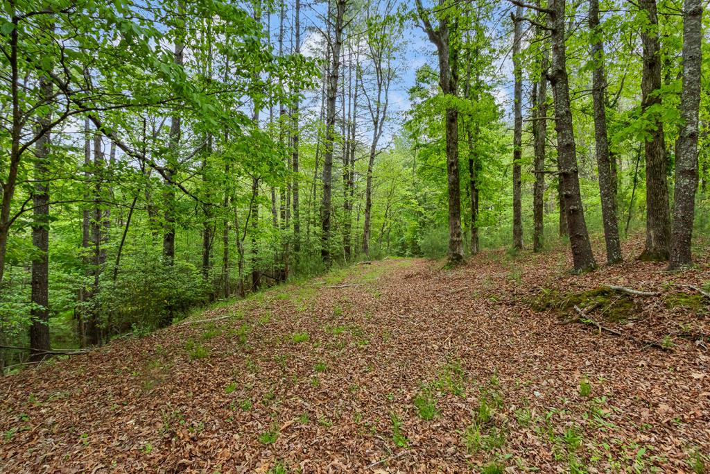 149 Sandy Lane, Murphy, NC 28906 Listing Photo  95
