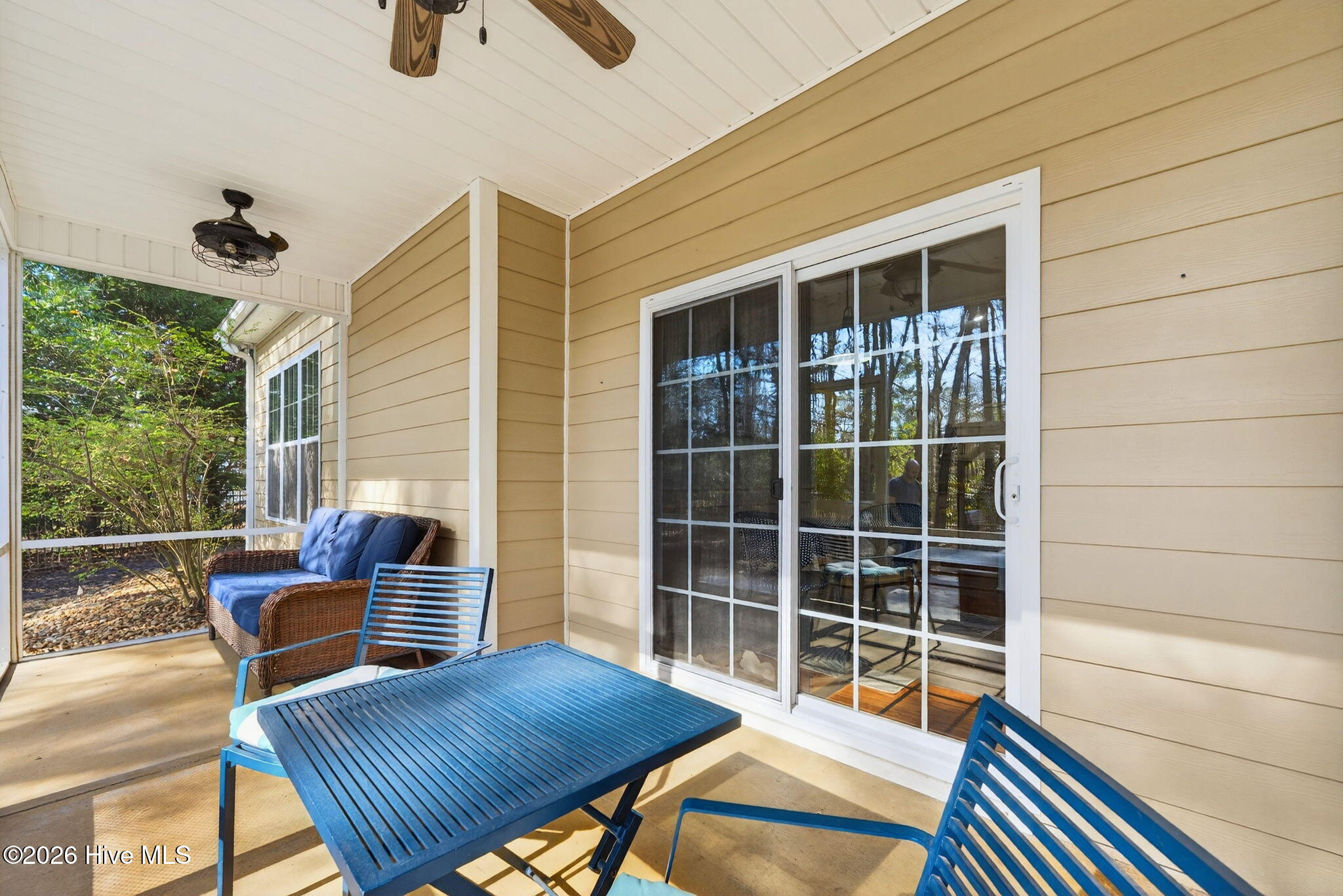 100558645 | Photo 18