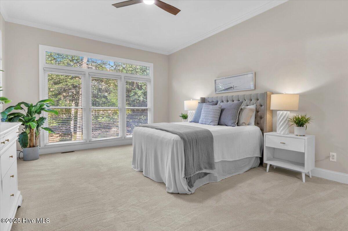 100545058 | Photo 26