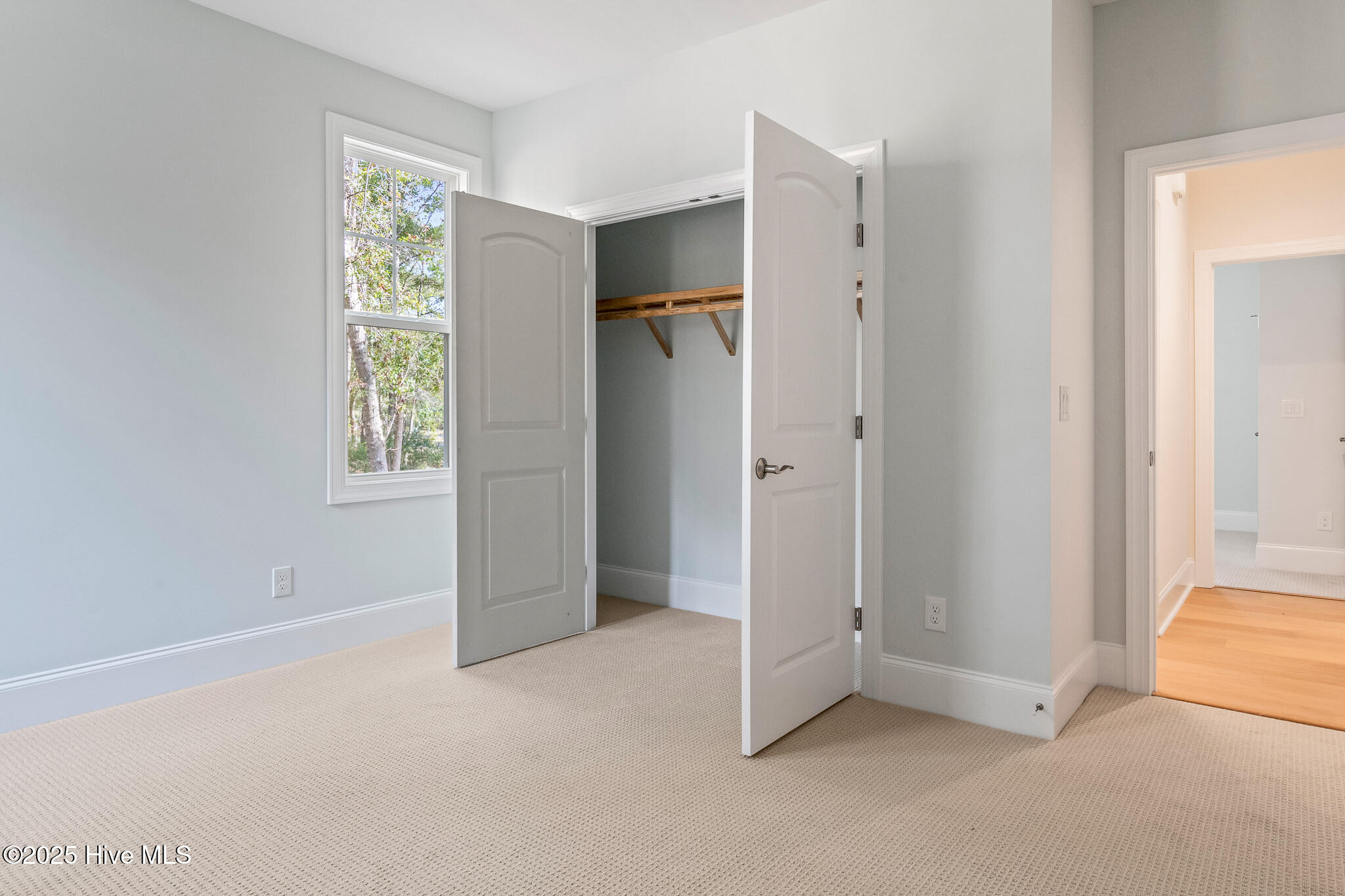 100535512 | Photo 47