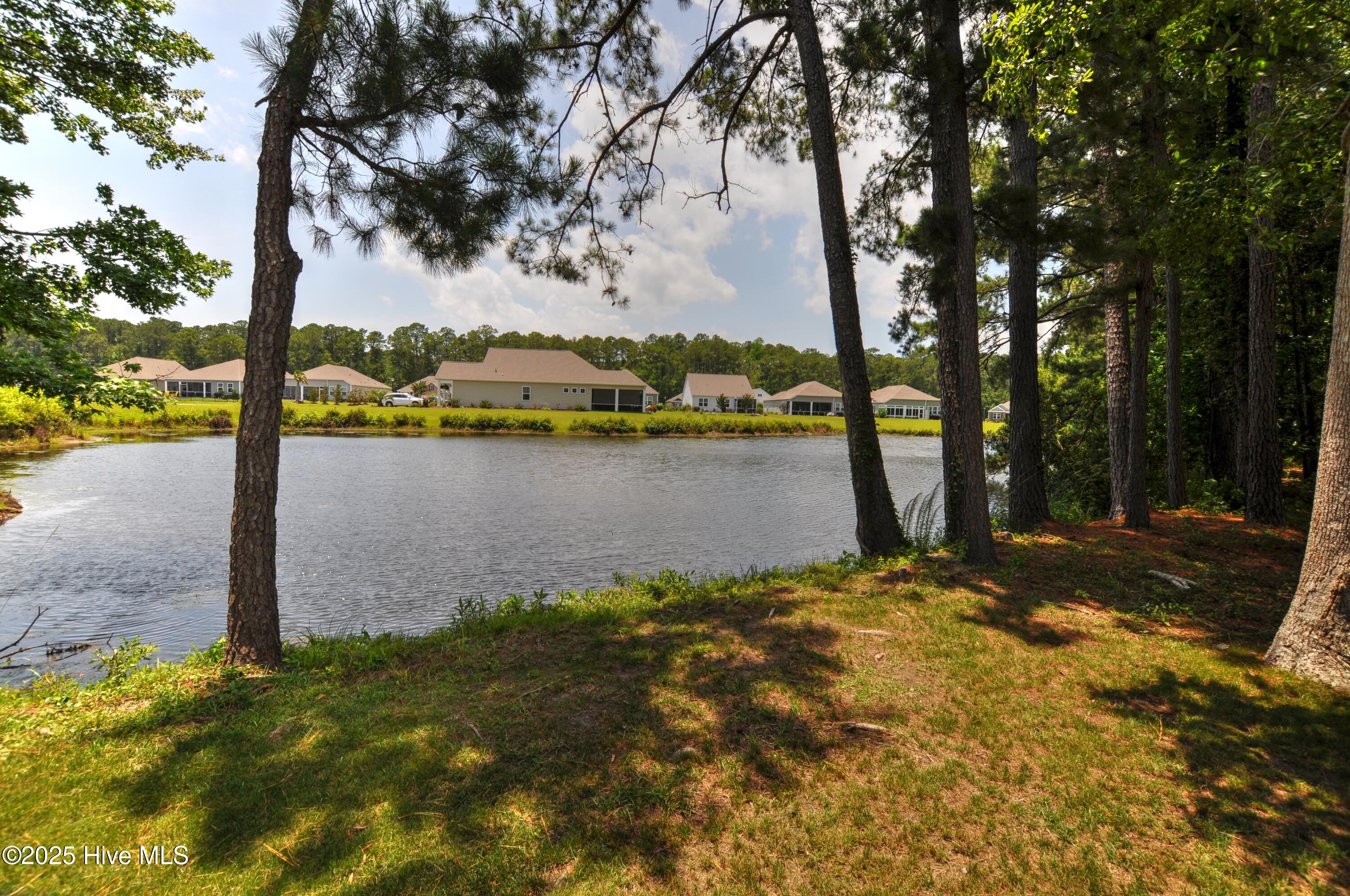 867 Corn Planters Circle, Calabash, NC 28467 – photo 10: 867 Corn Planters