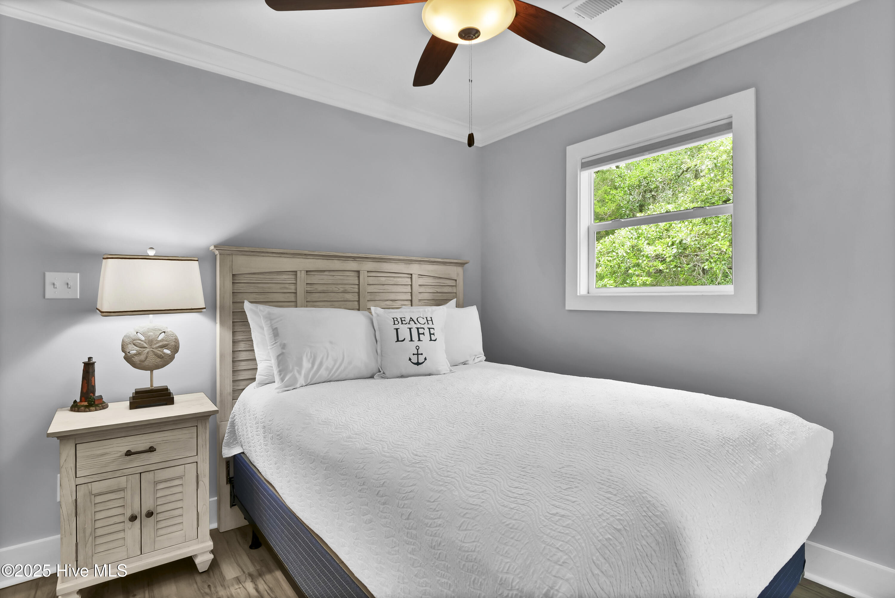 100542067 | Photo 33