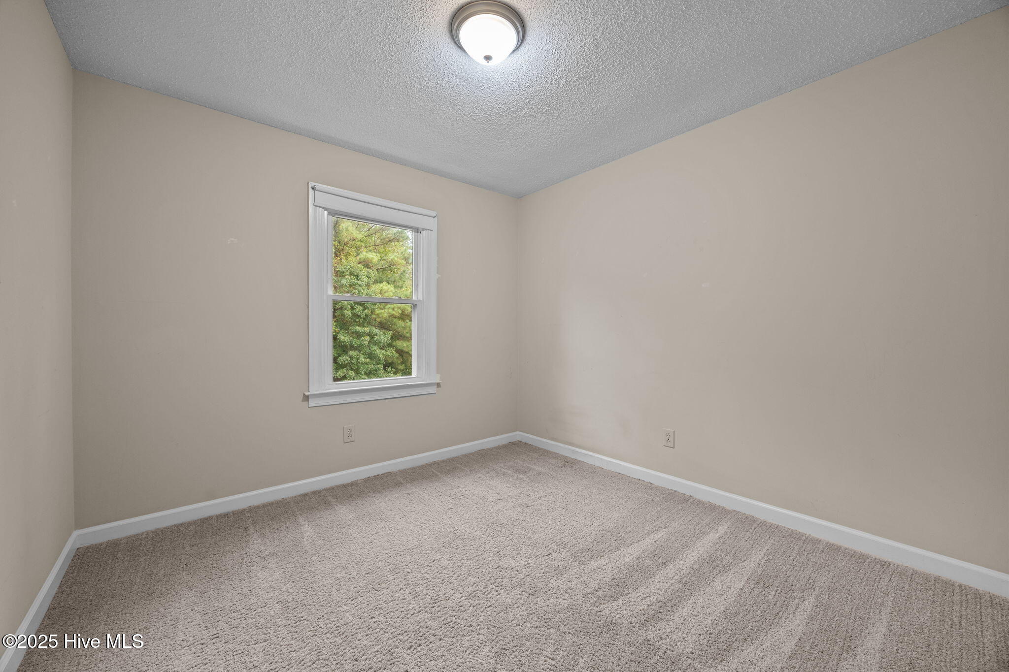 100534053 | Photo 22