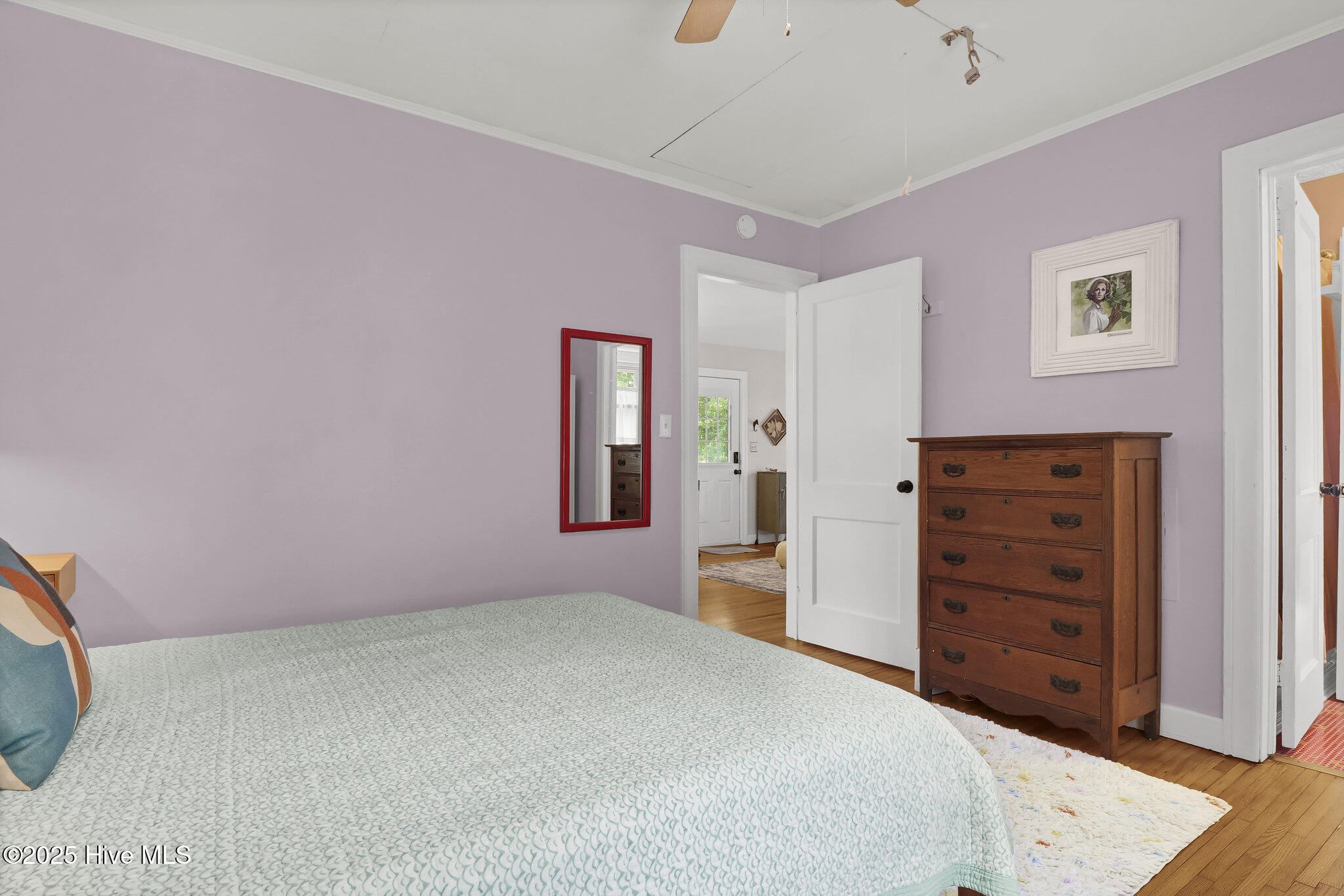 100513578 | Photo 11