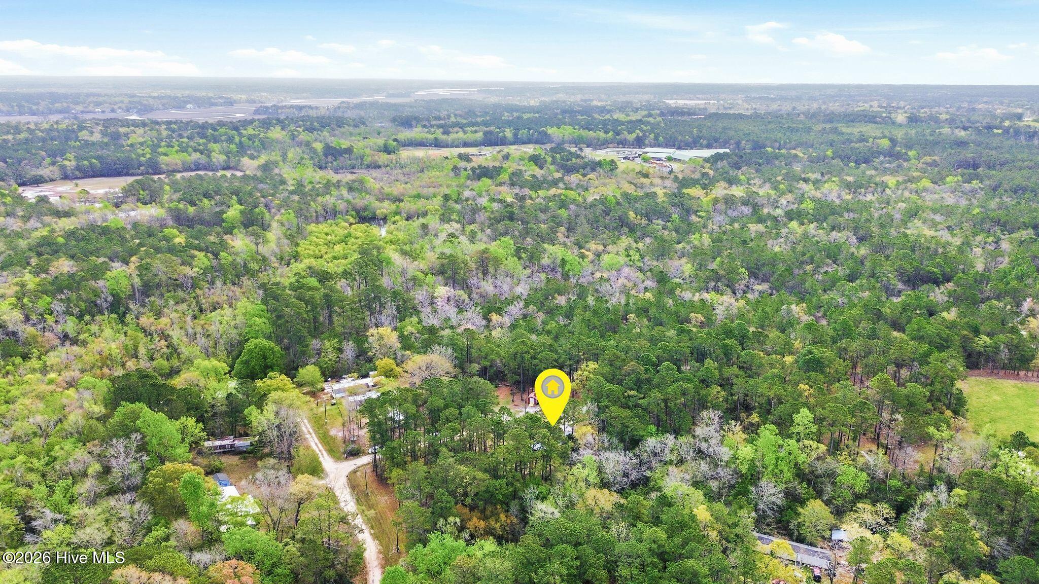 100565168 | Photo 50