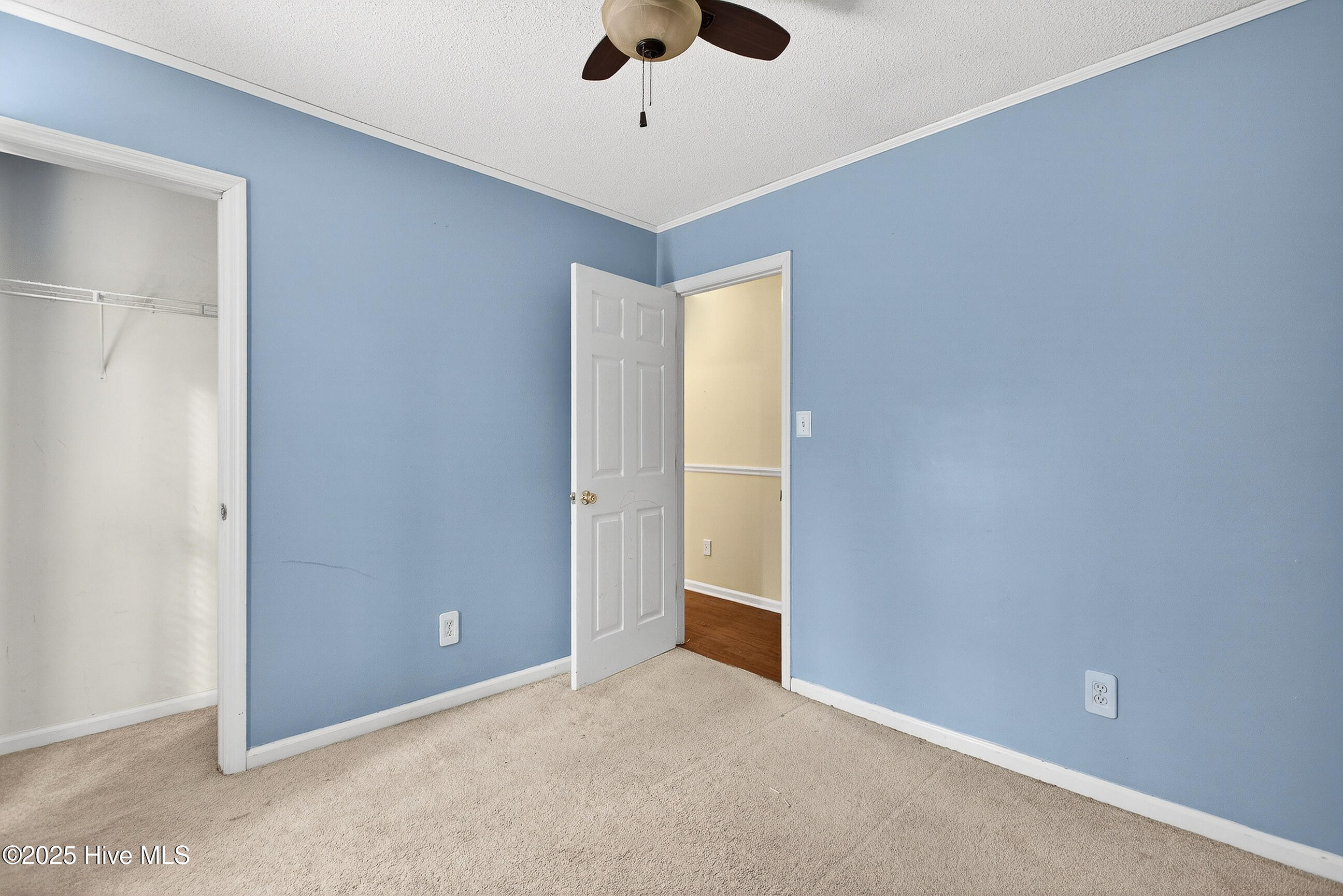 100547109 | Photo 18