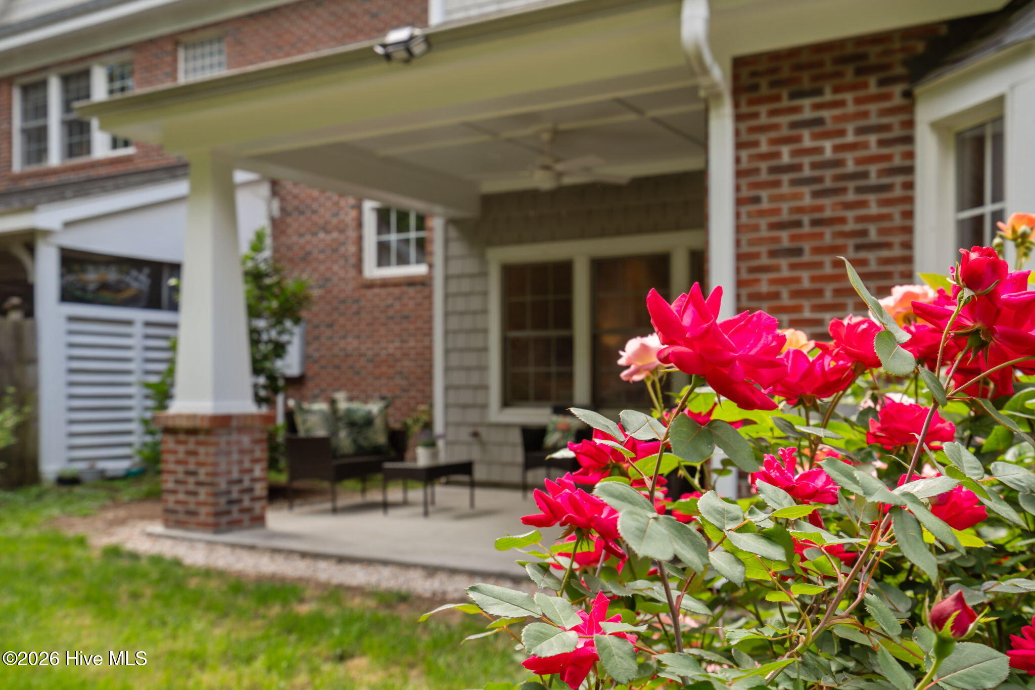 100563251 | Photo 39