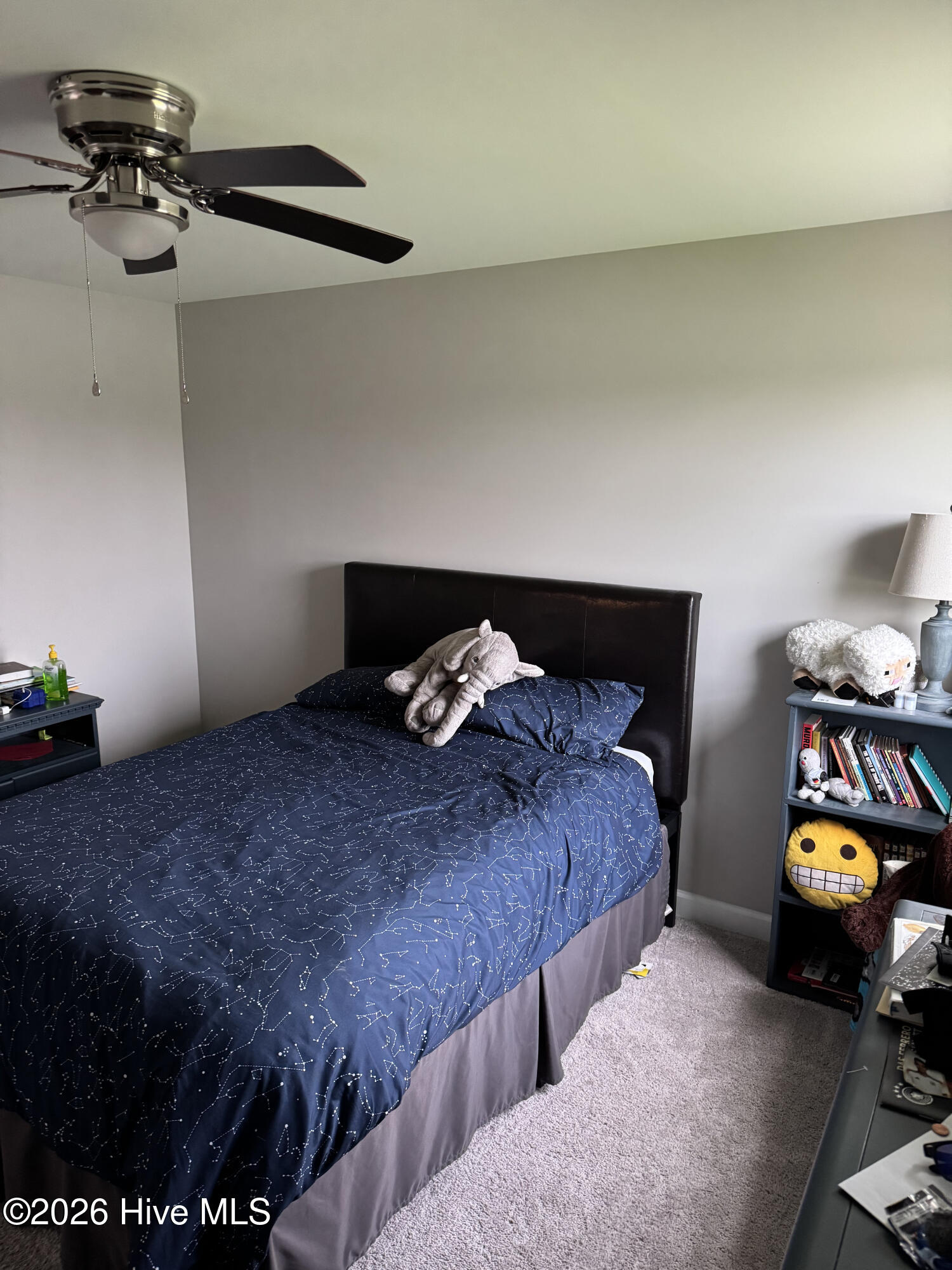 100561884 | Photo 37