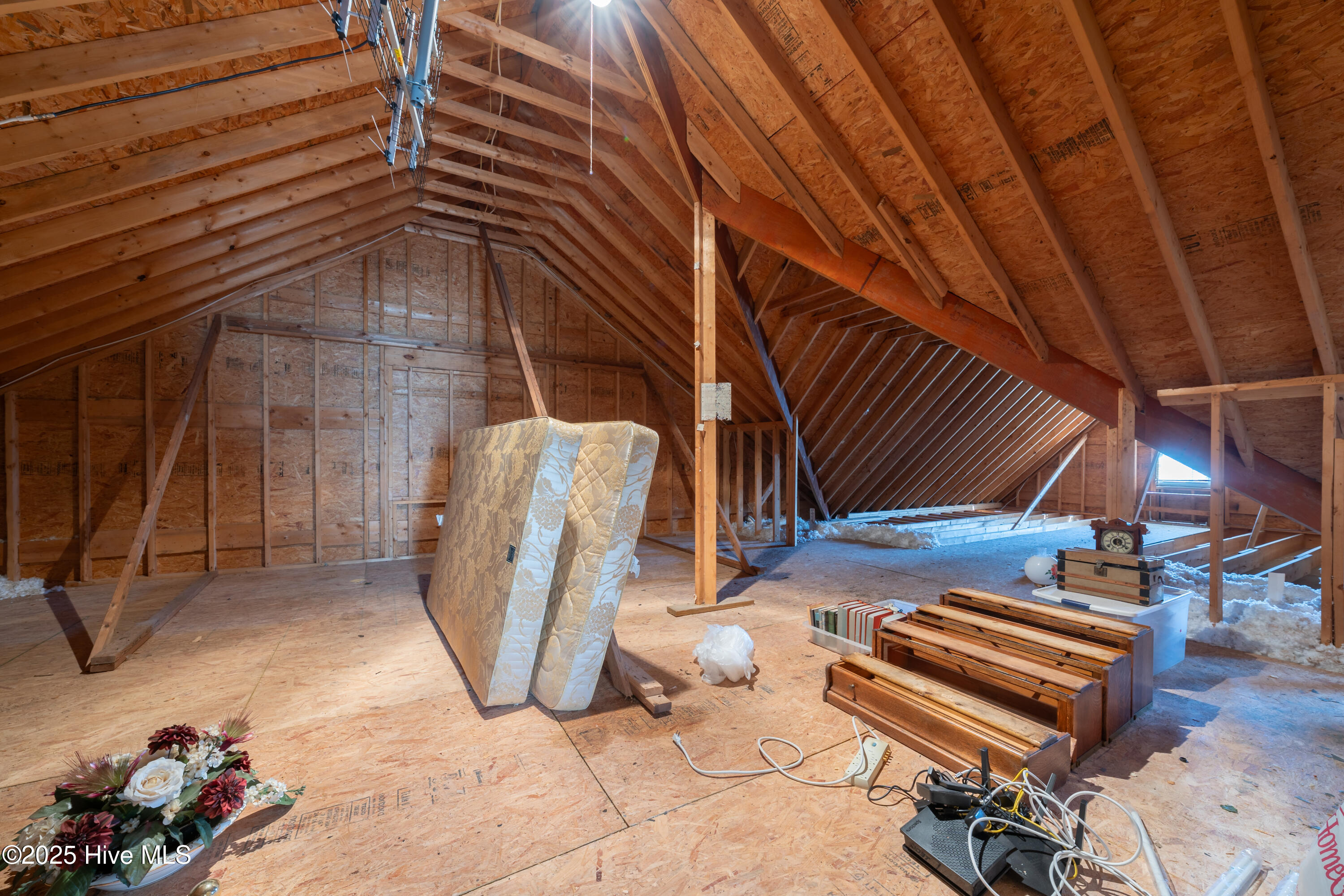 100497692 | Photo 38