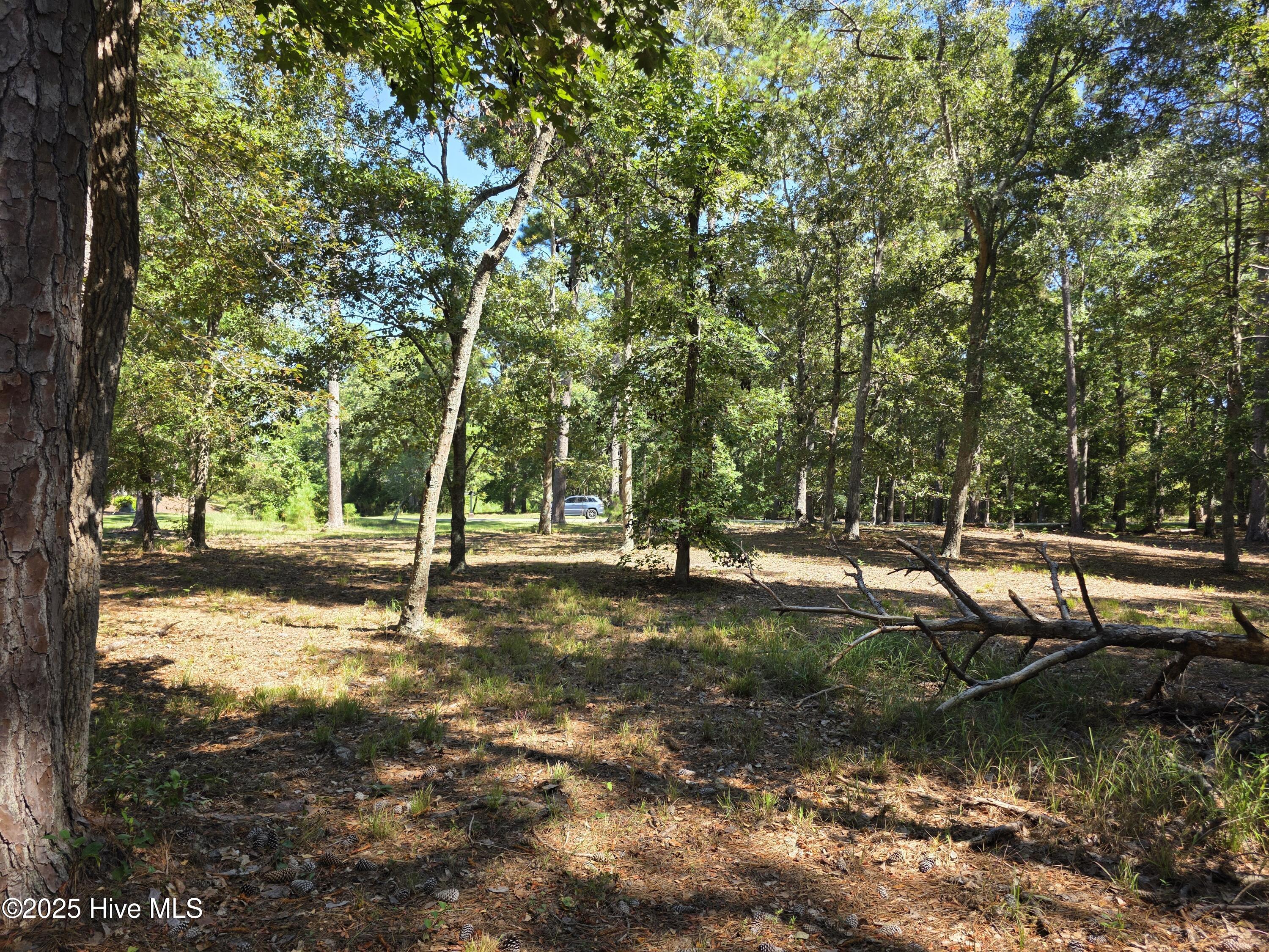 100532250 | Photo 21