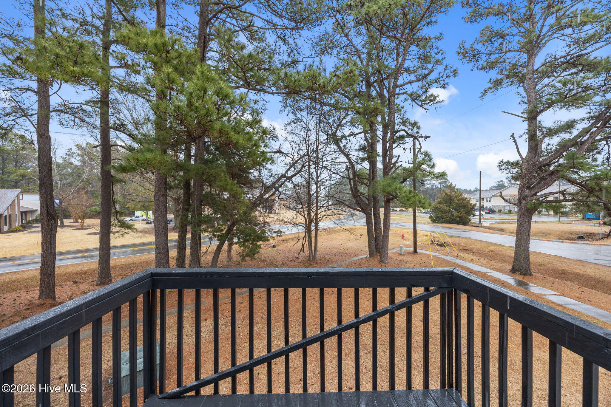 100540197 | Photo 13