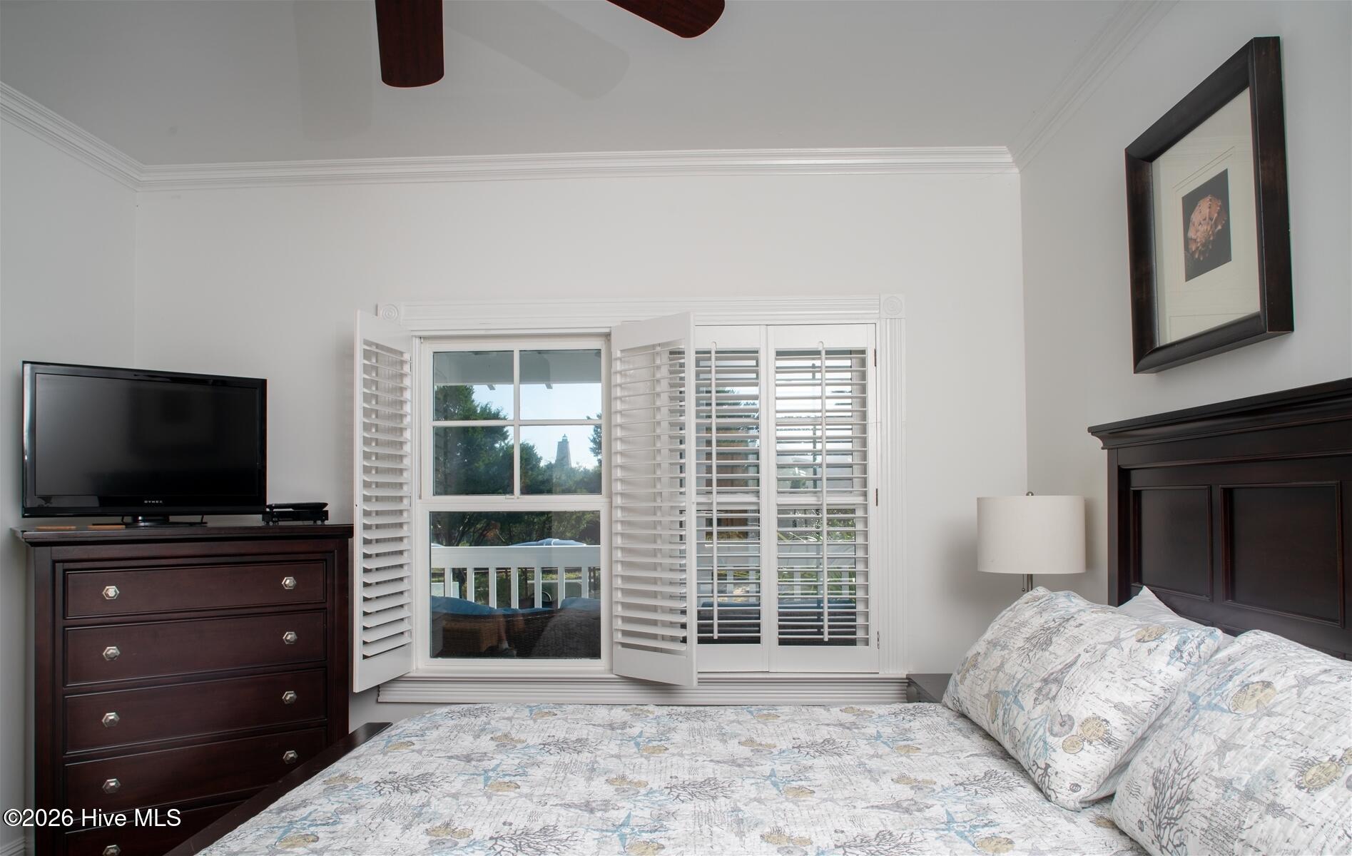 100559569 | Photo 25