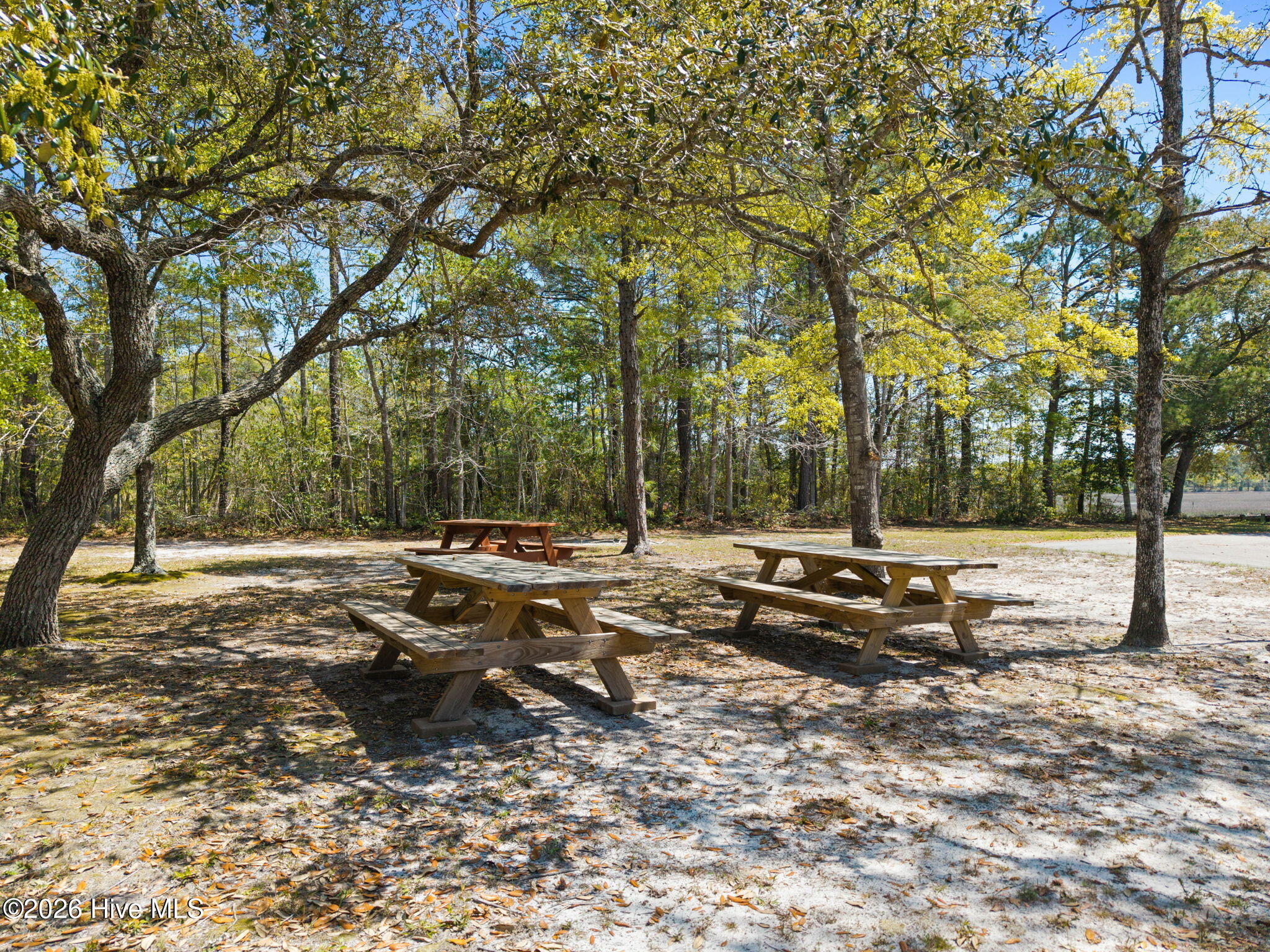 100565575 | Photo 31