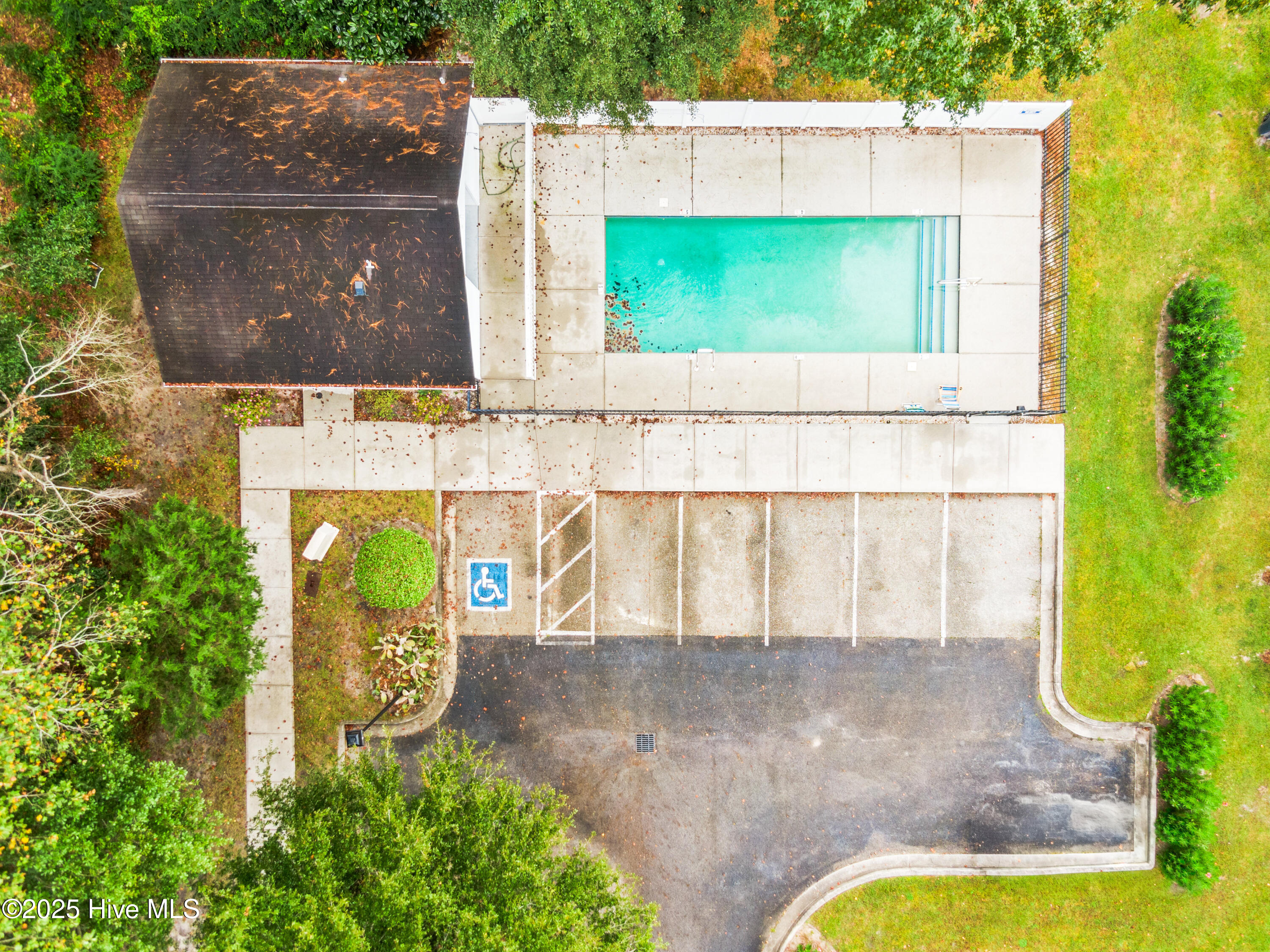 100535328 | Photo 31