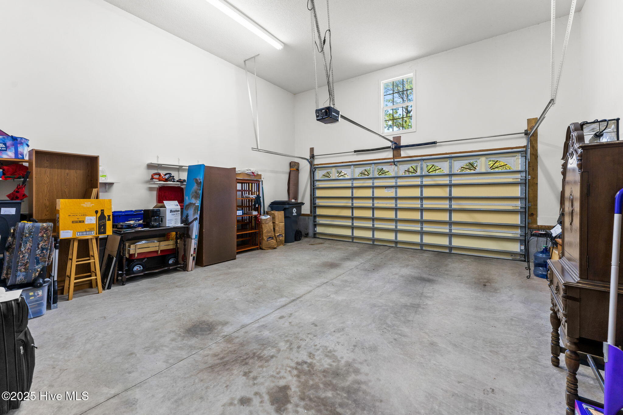 100539831 | Photo 37