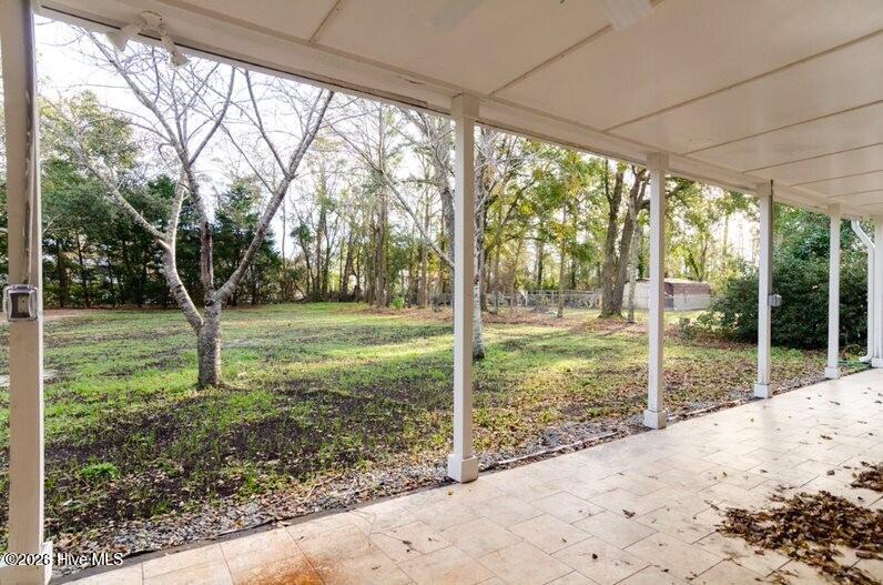 100556433 | Photo 20