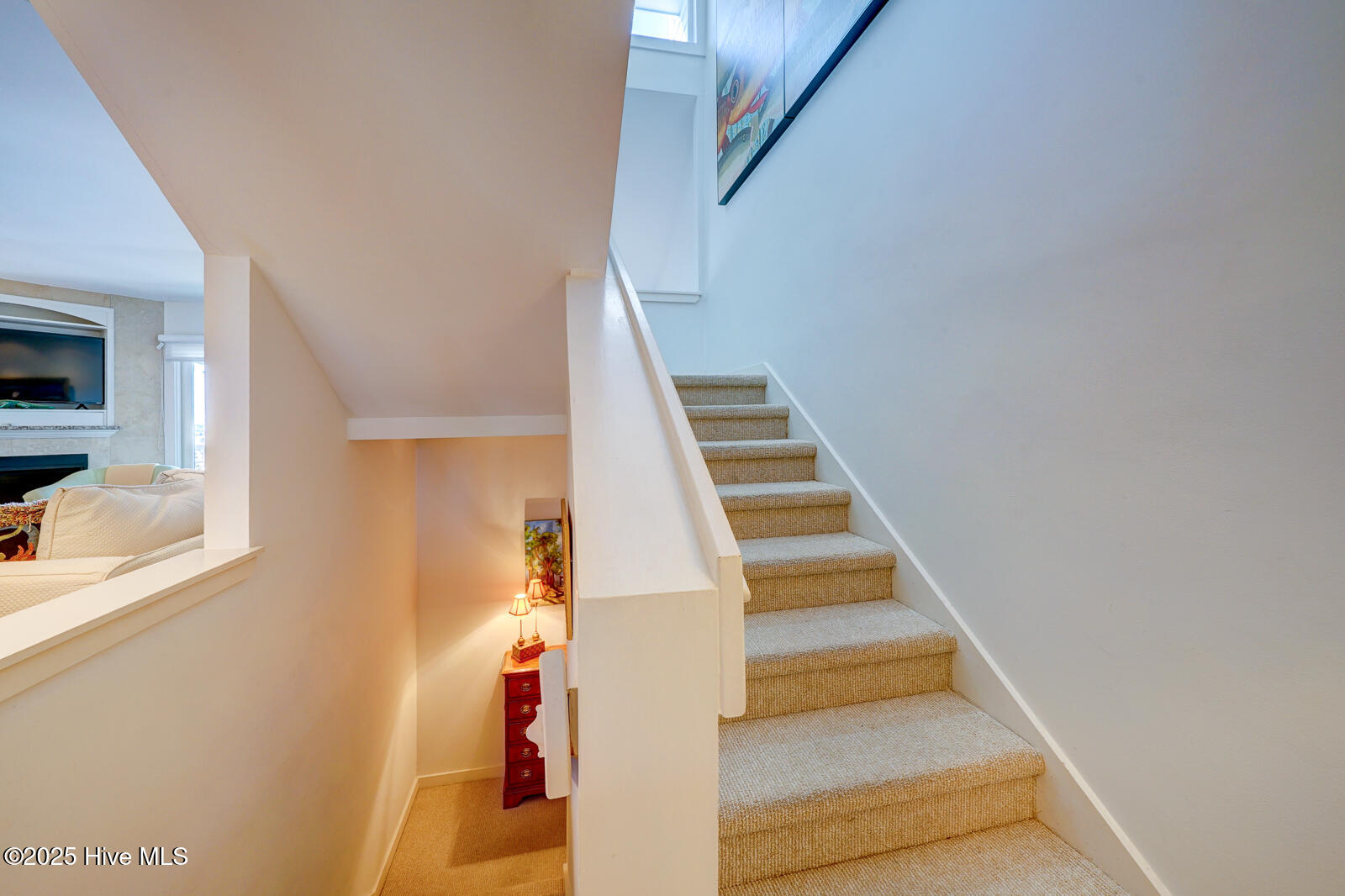 100546468 | Photo 19