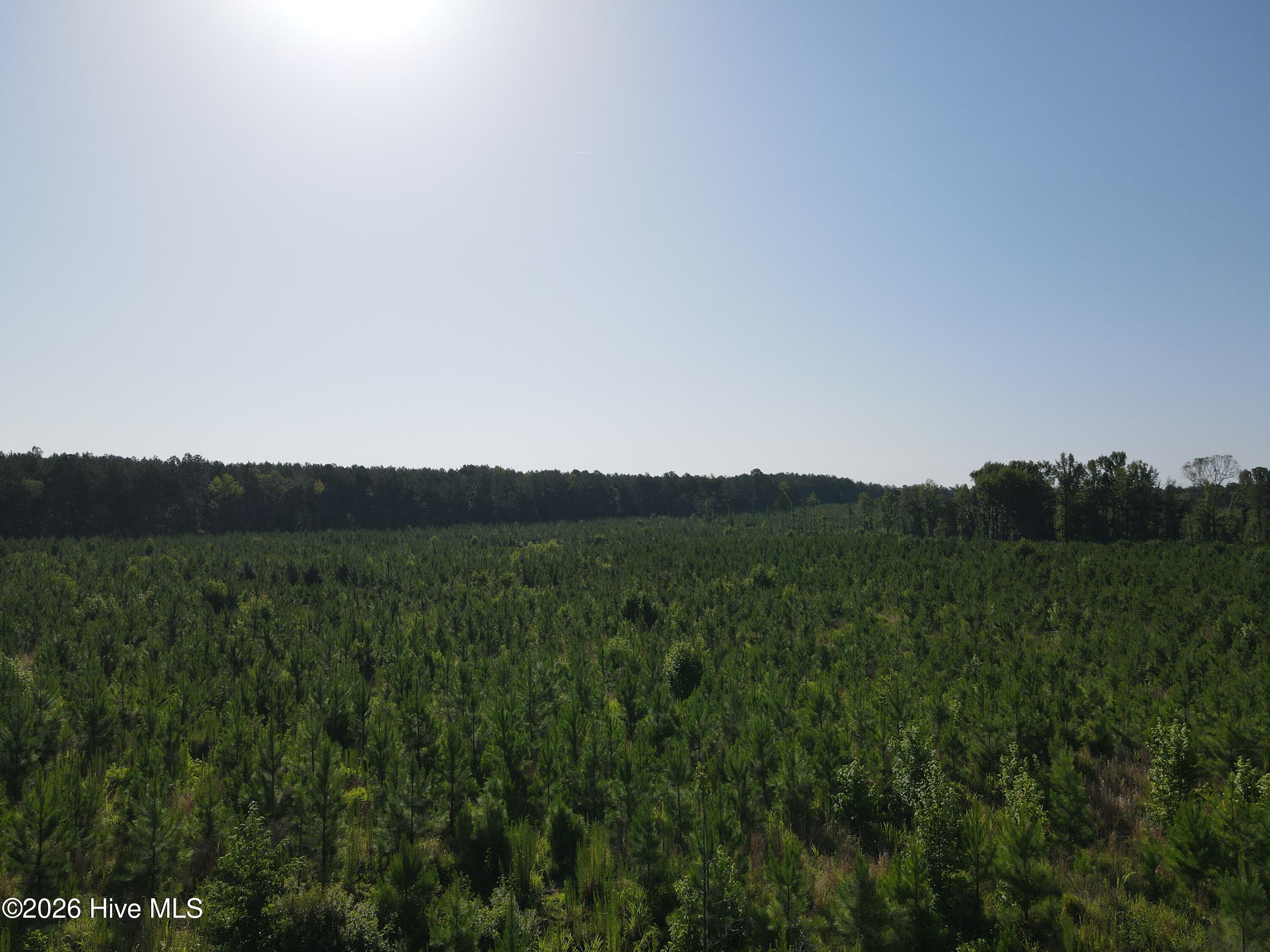 2nd image of 1 Youngblood Rd, Sparta, GA 31087 | MLS# 100590406