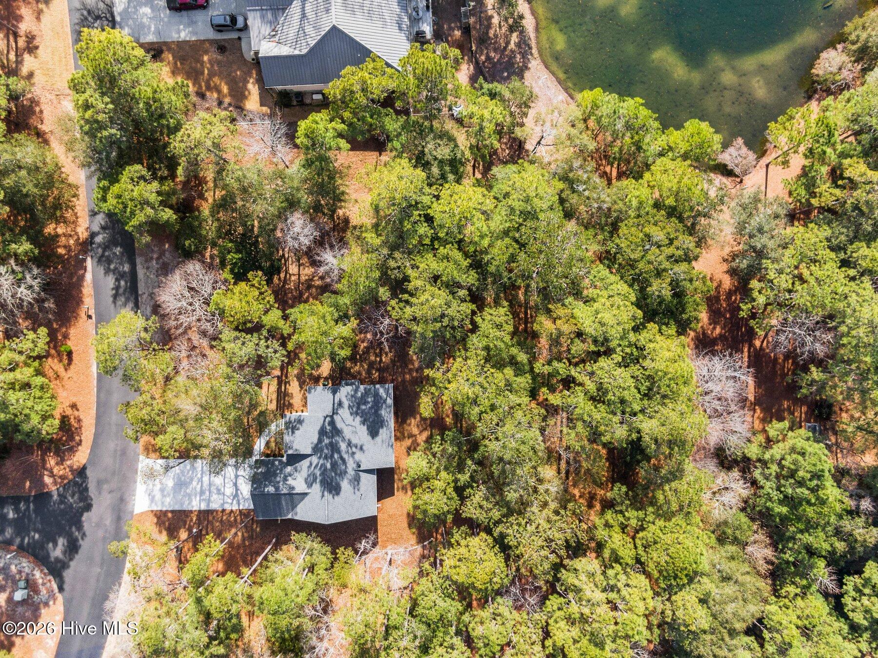 100554265 | Photo 38