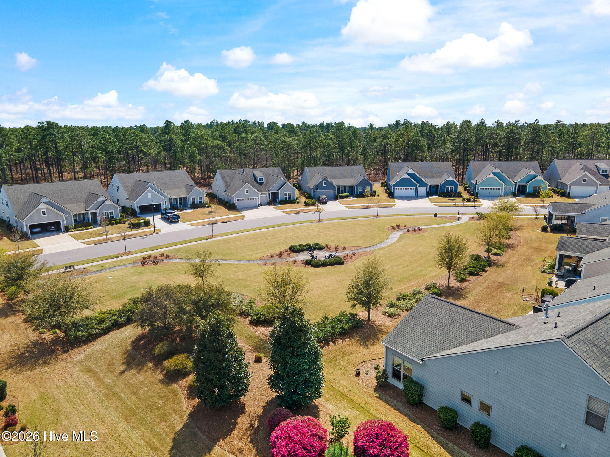 100564414 | Photo 67