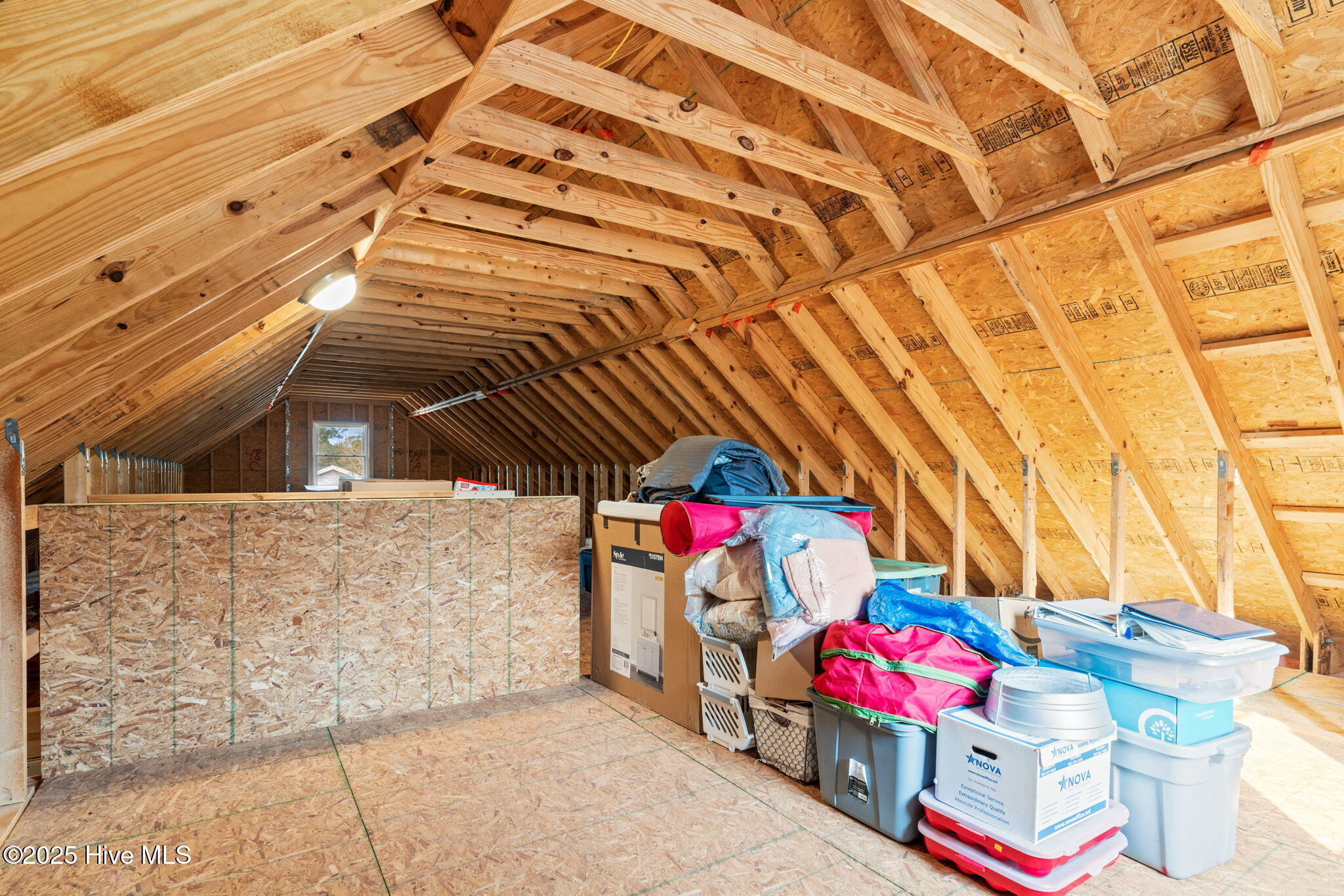 100546923 | Photo 32