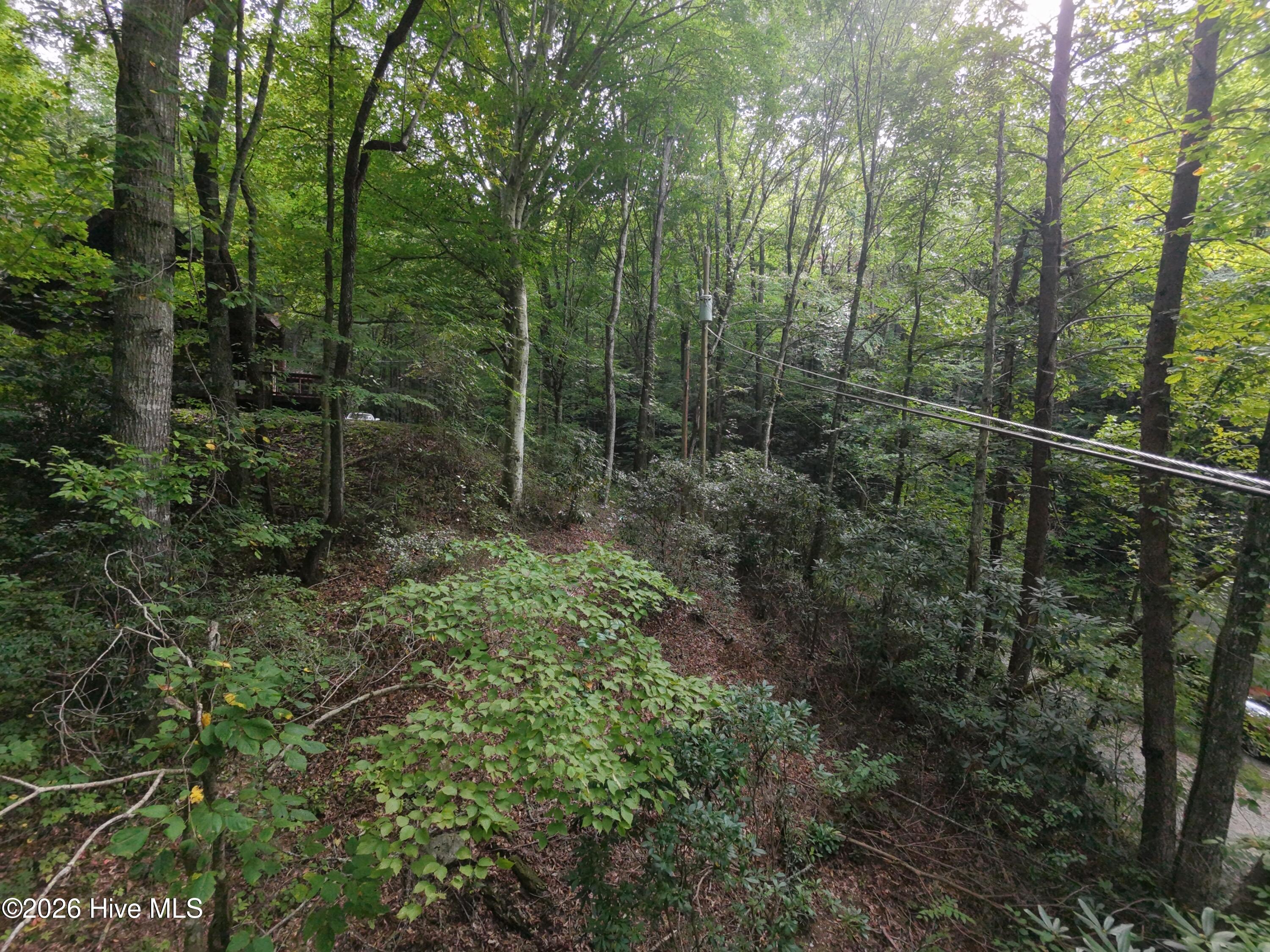 100607015 | Photo 2