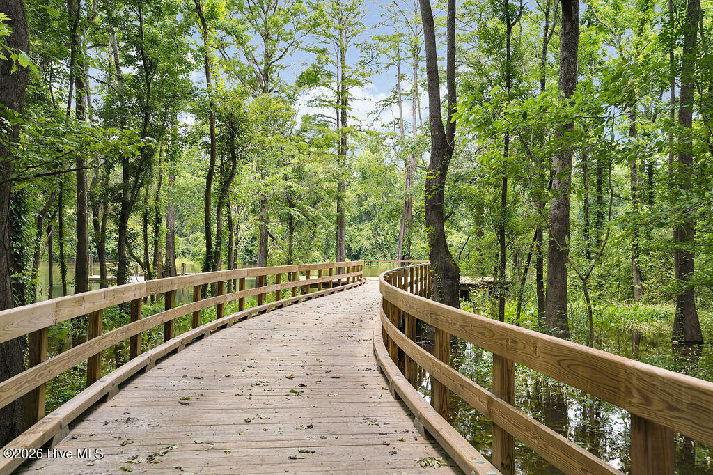 100564545 | Photo 74