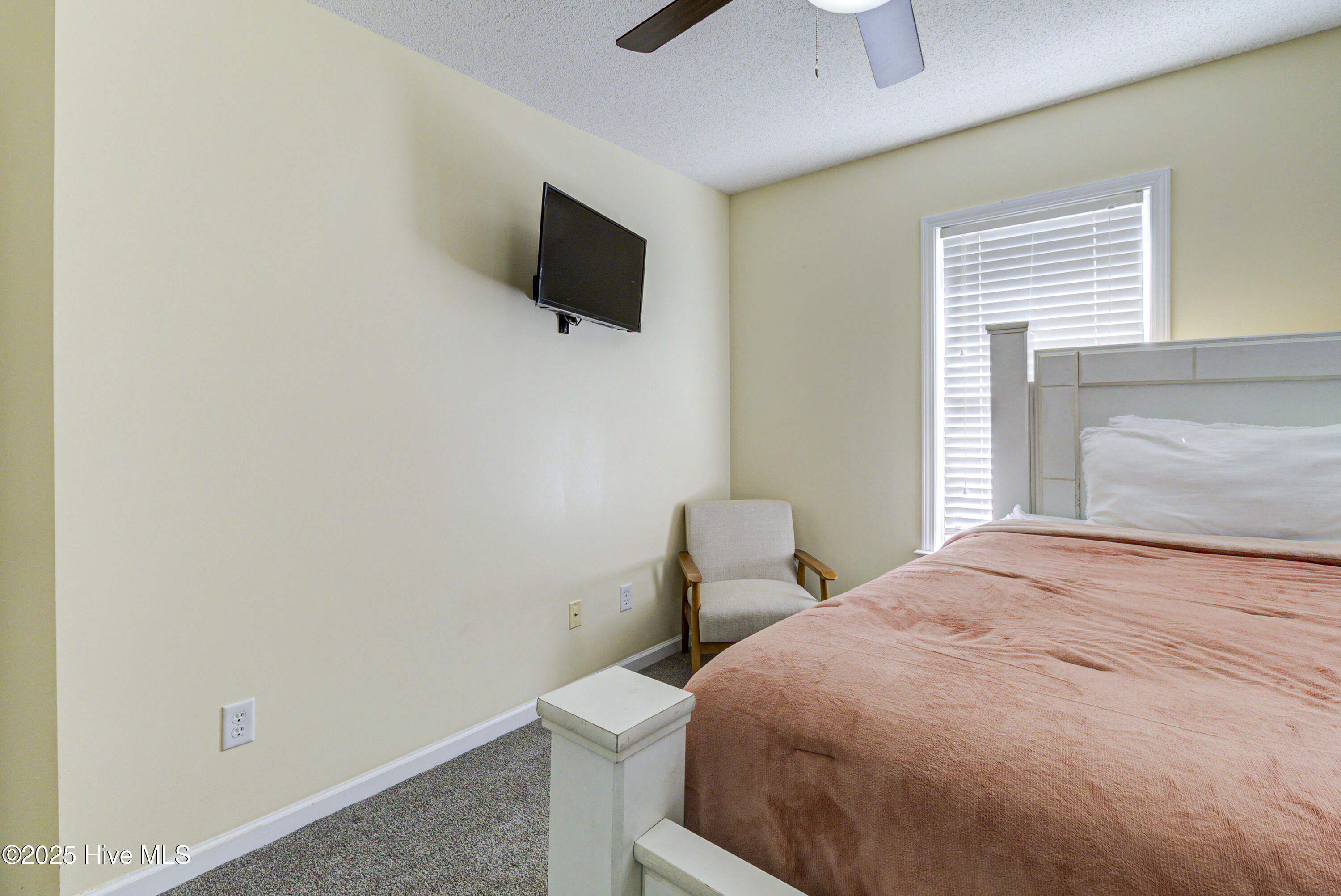 100554804 | Photo 16