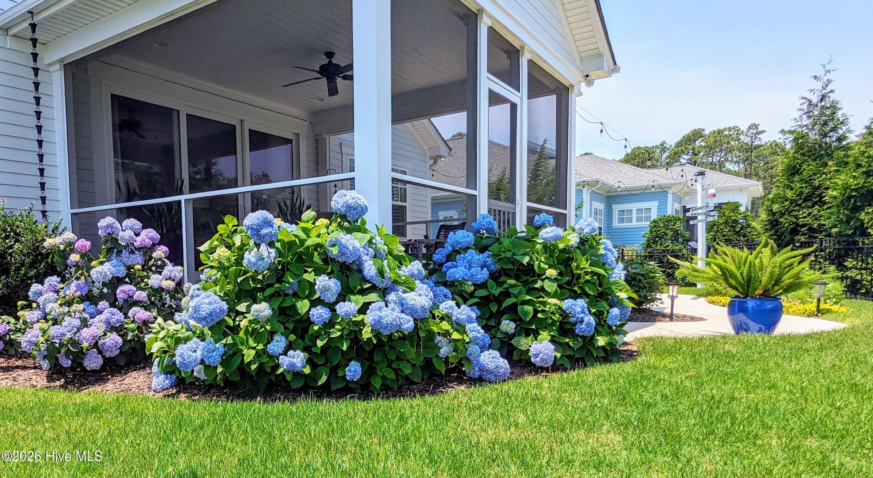 100553460 | Photo 39