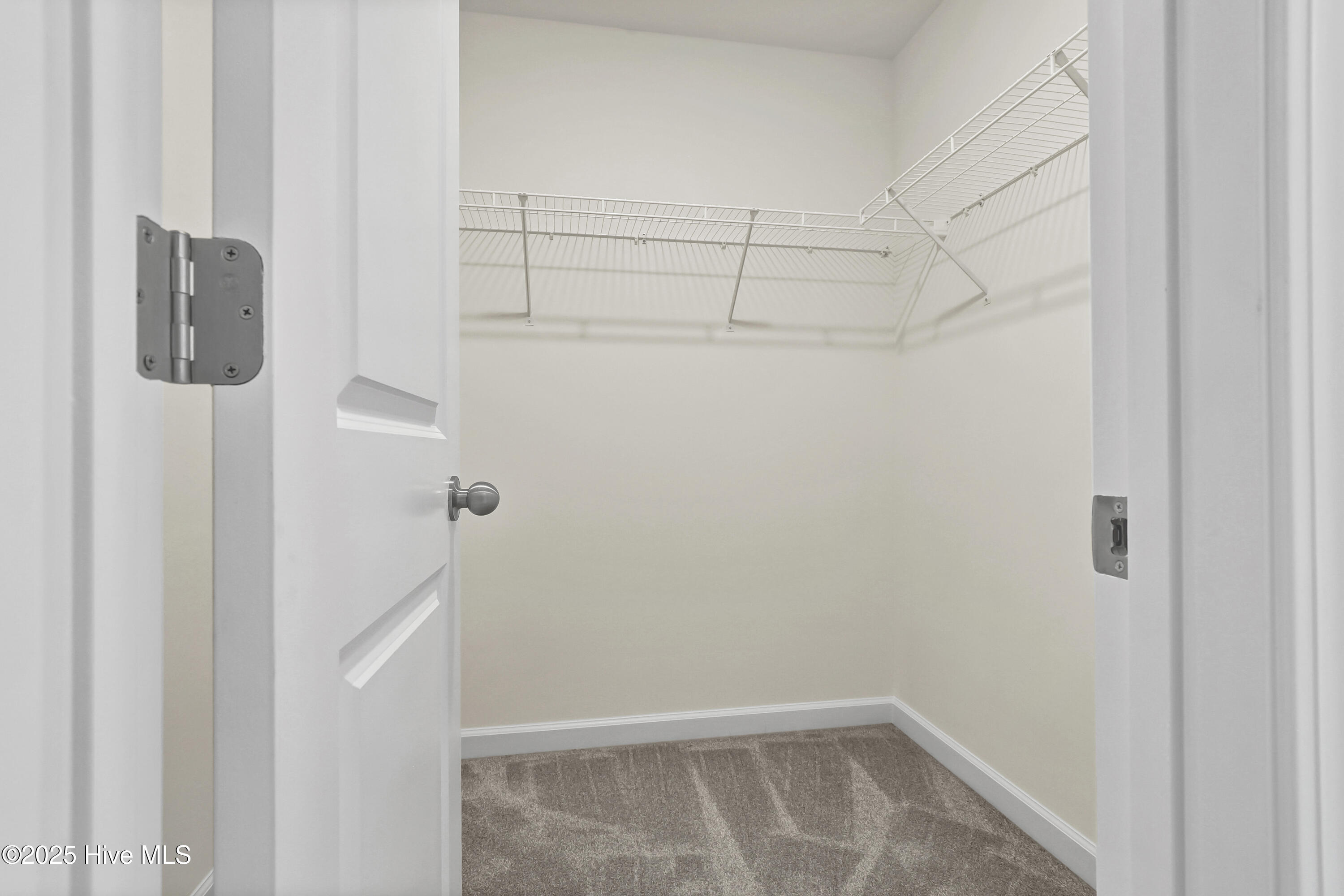 100488784 | Photo 26