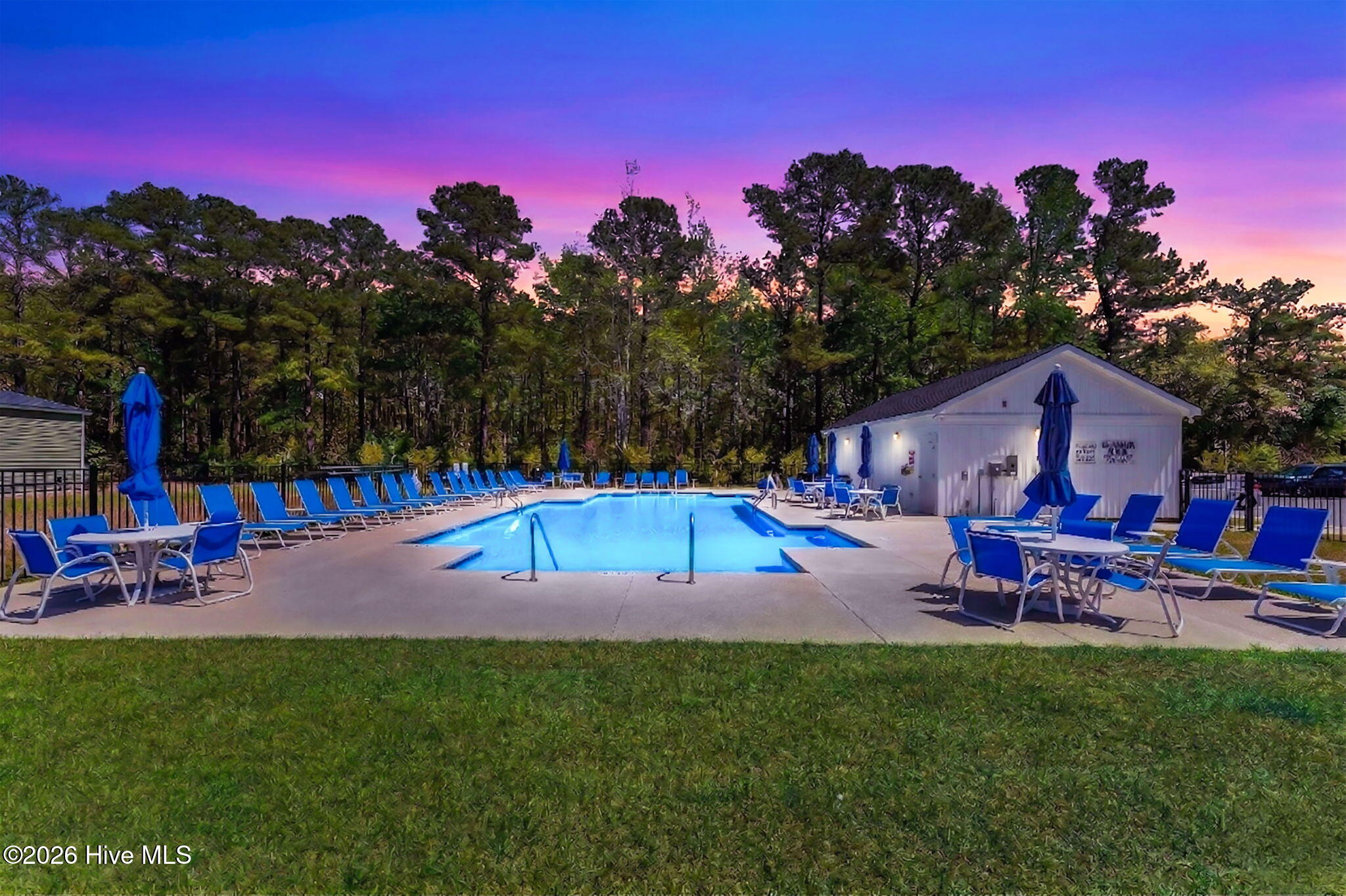 100566153 | Photo 44