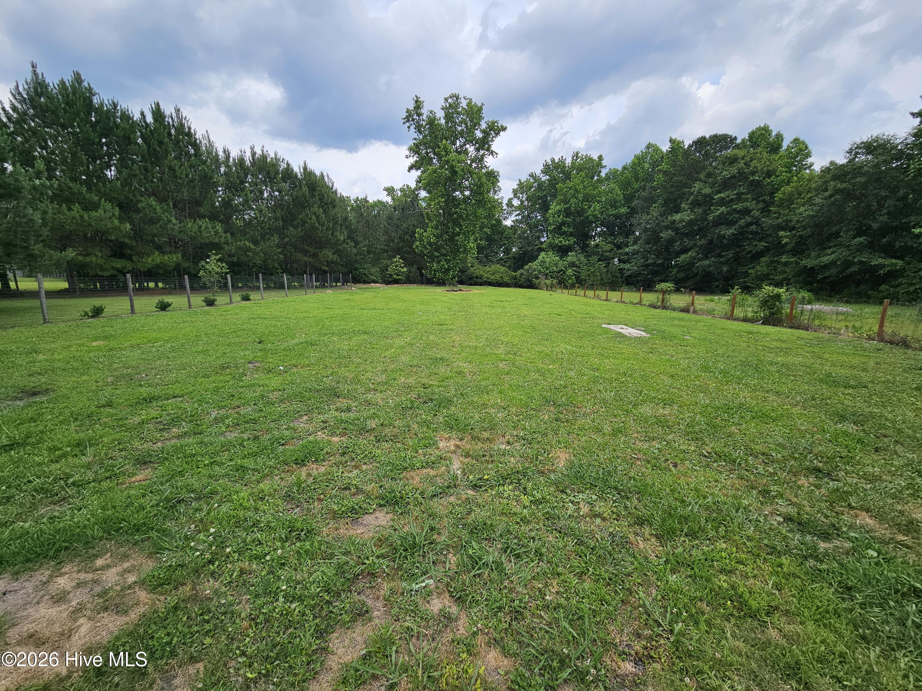 307 Big Tree Lane,Chinquapin