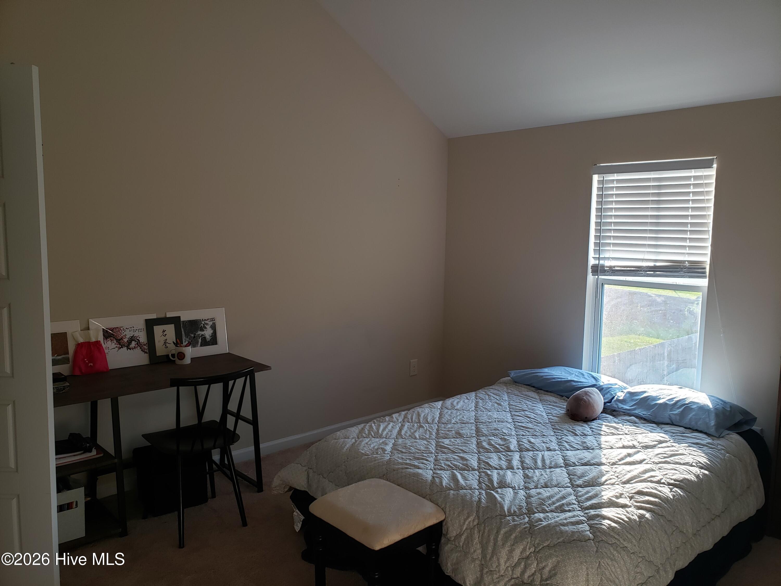 100569044 | Photo 12