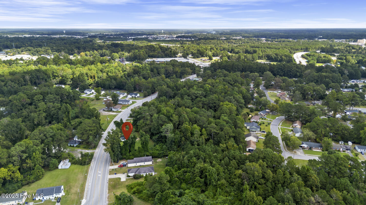 100533503 | Photo 11