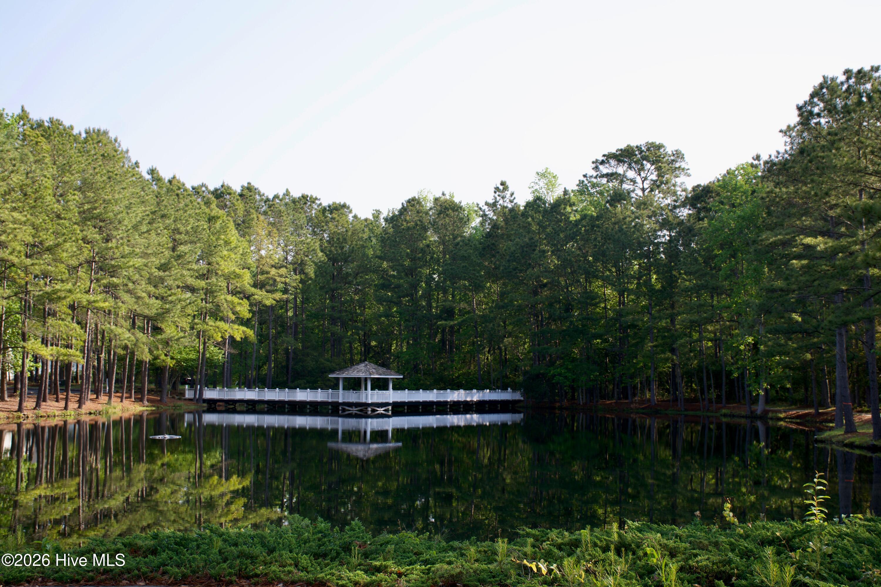 100558493 | Photo 16